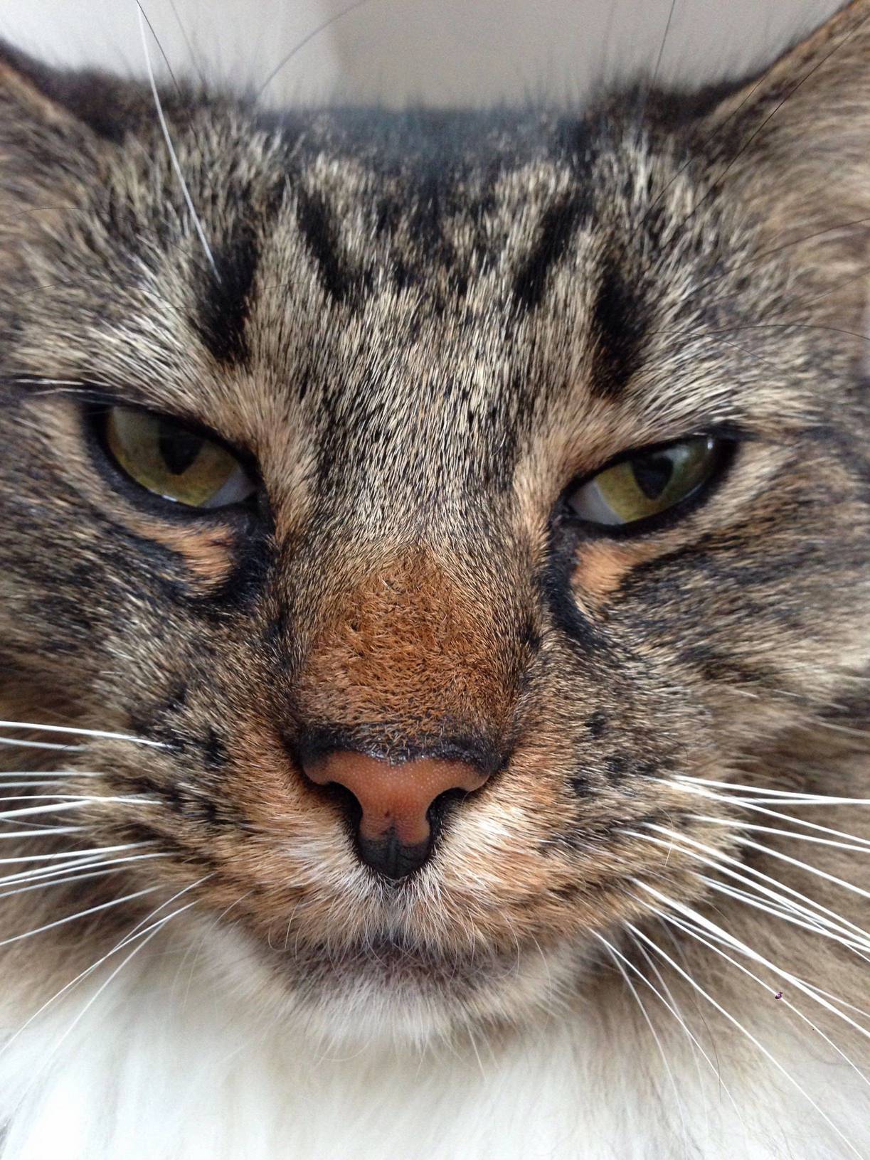 Its His Birthday. Hes Thrilled.