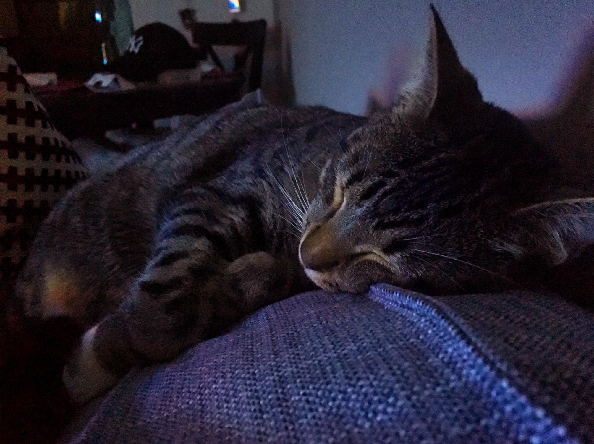 Its Not Easy Staying Awake Through an Entire Movie.