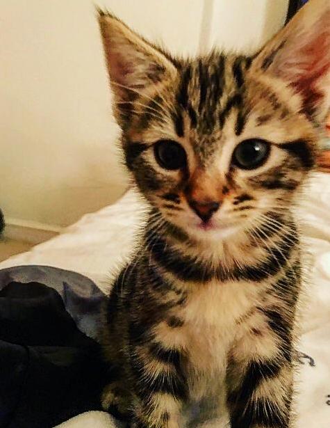 Jesses First Night 2 Months Ago.