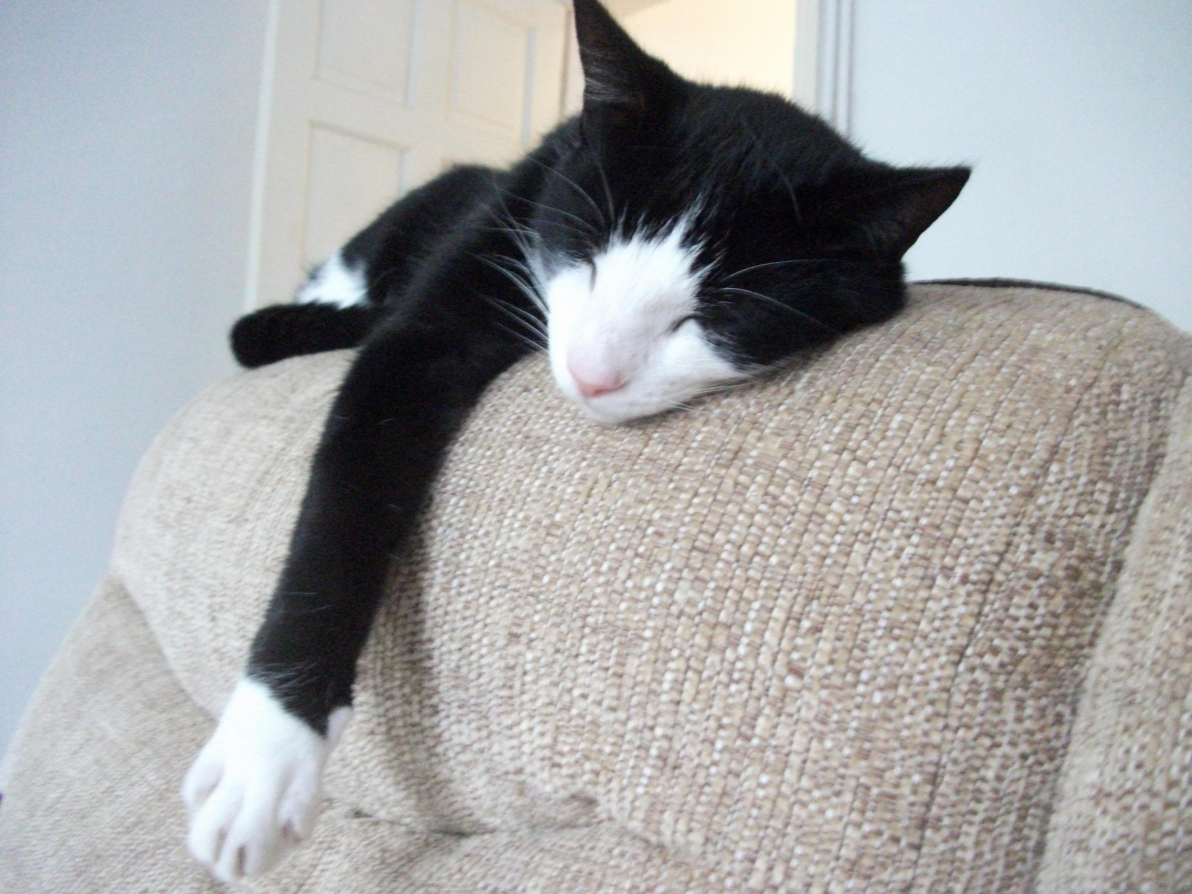Just Chillin