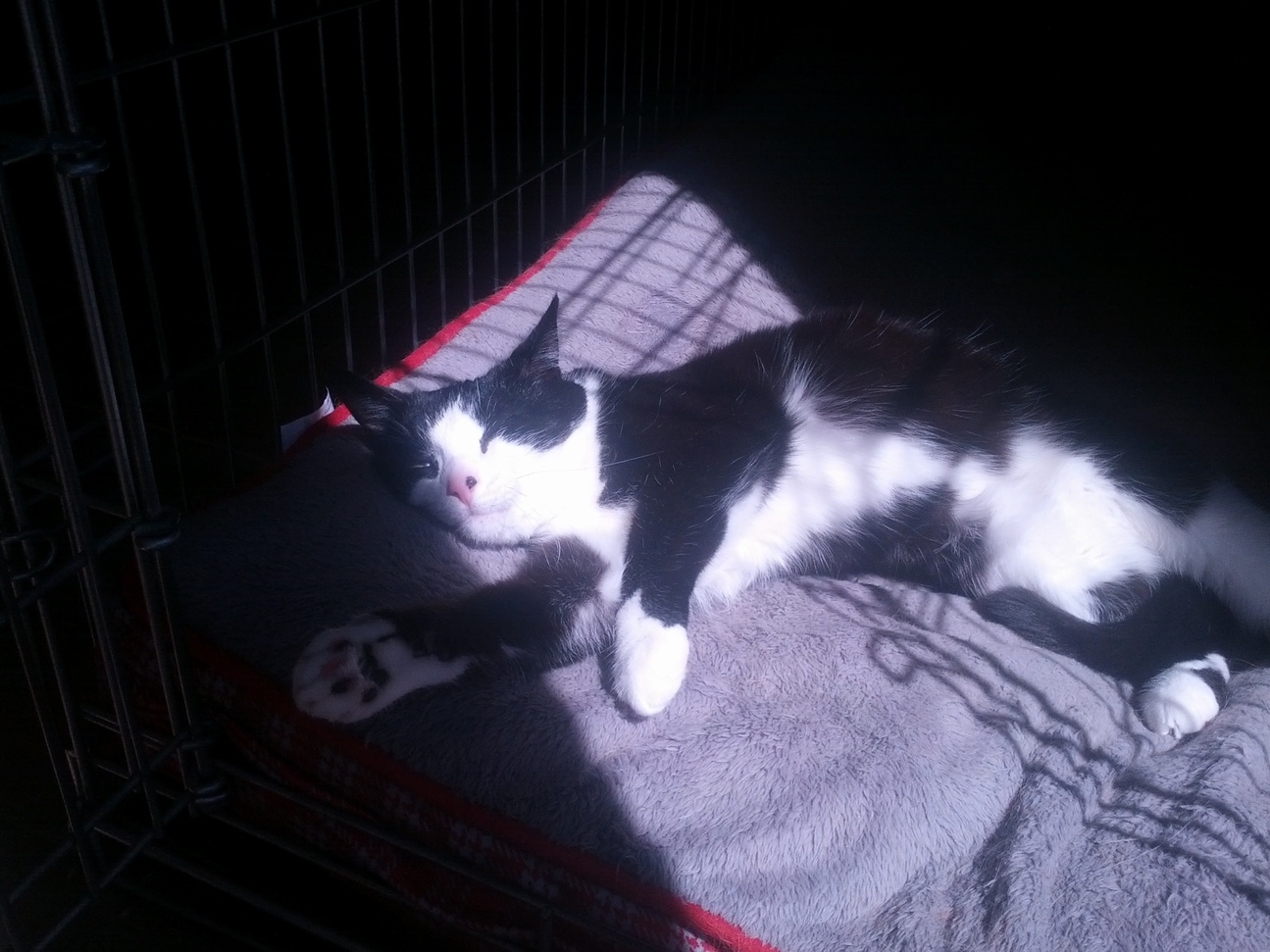 Just Enjoying the Sun