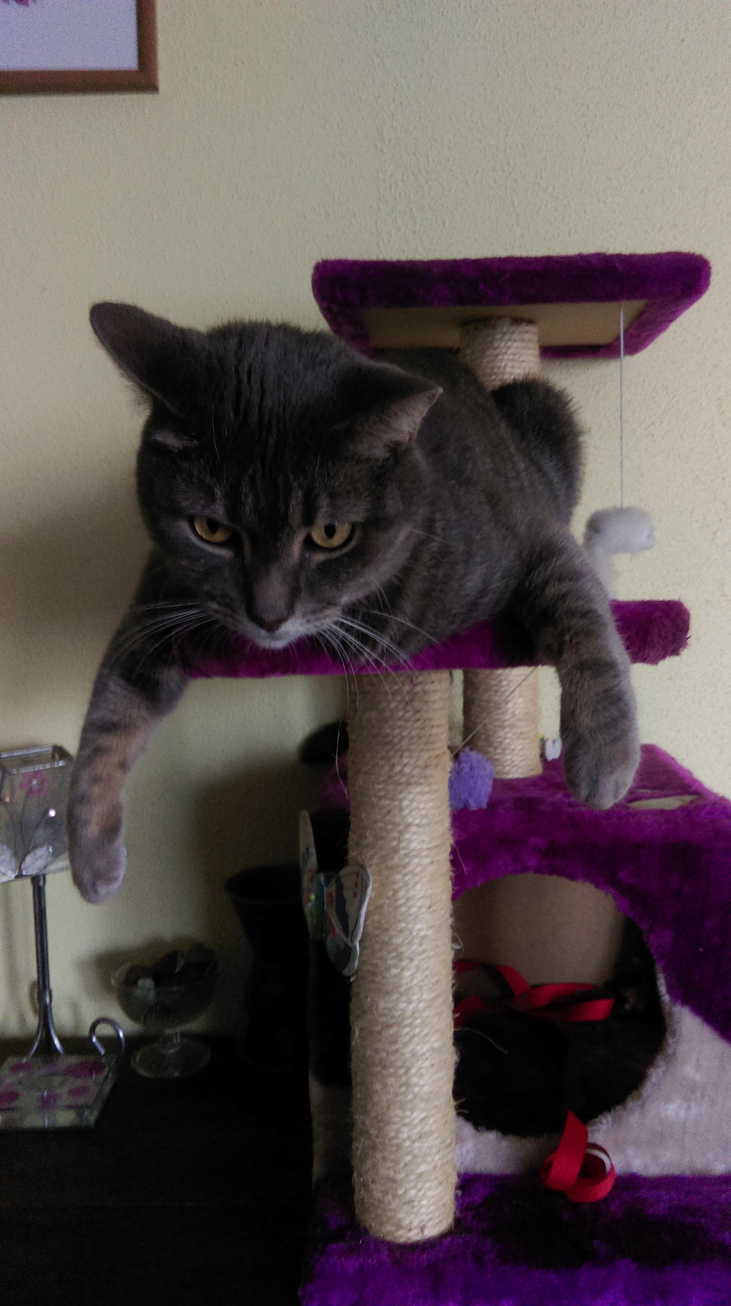 Just Hanging Around