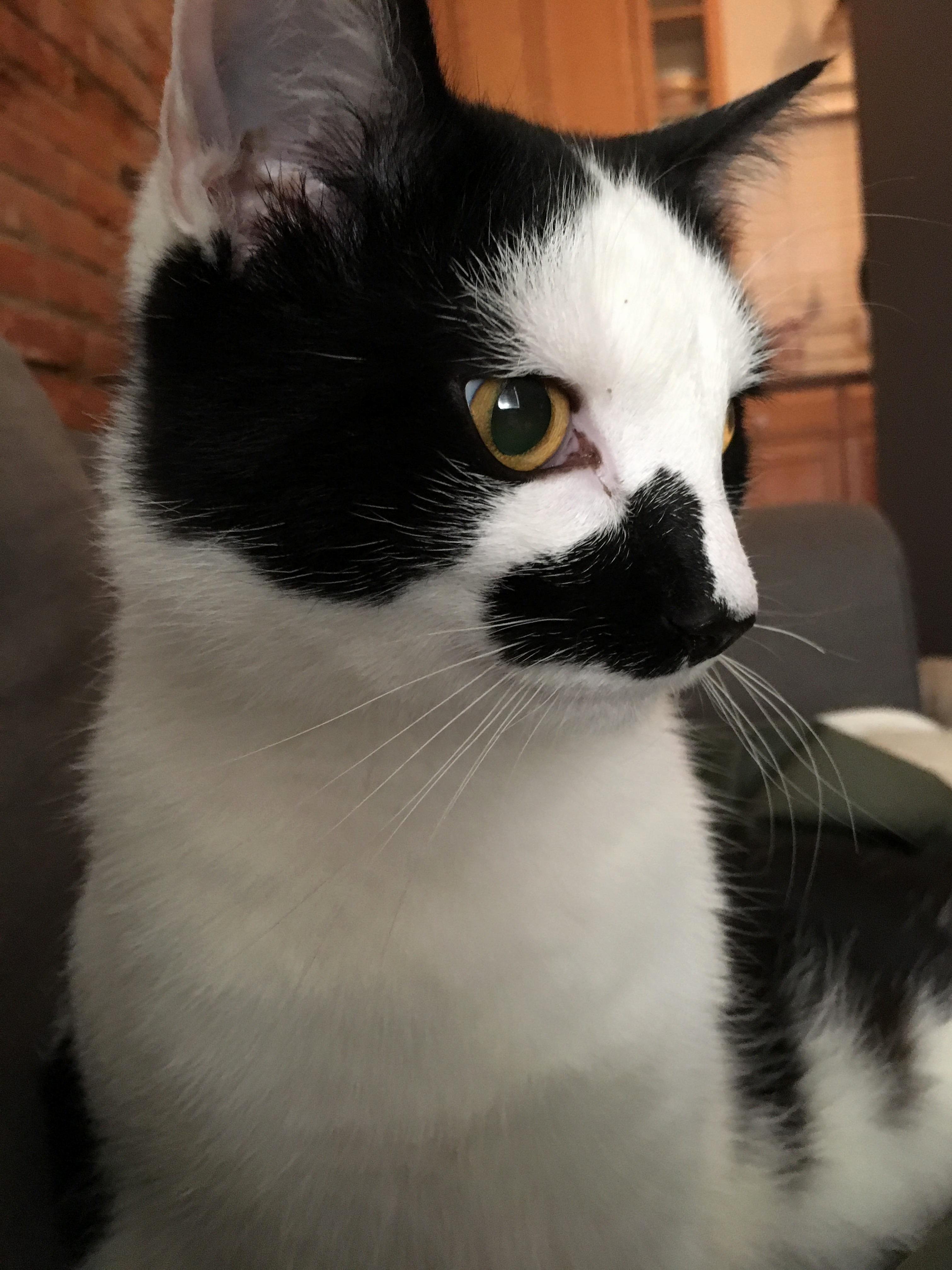 Just Wanted to Show Off My Handsome Man Charlie
