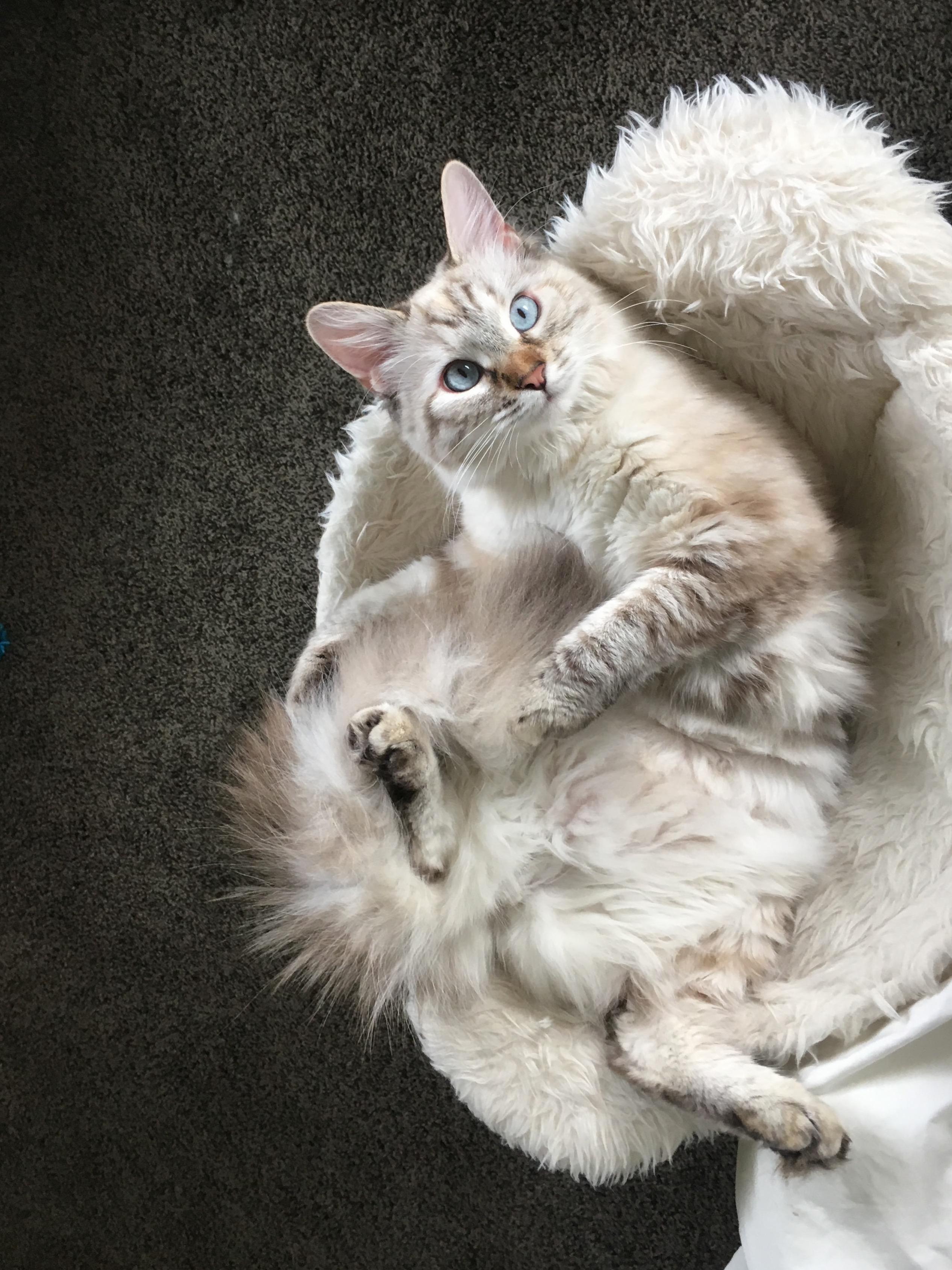 Kiki Likes Posing for Picture