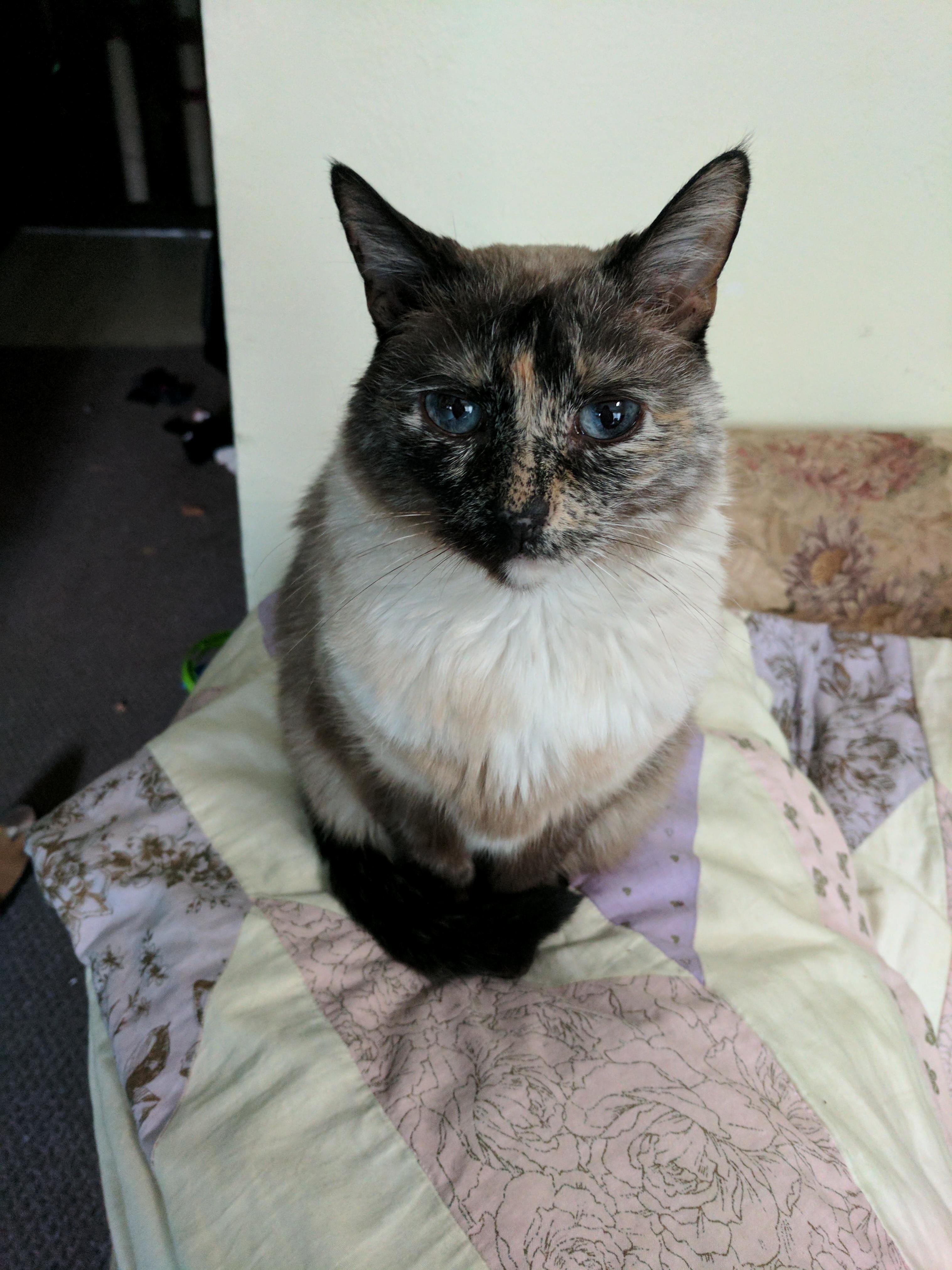Larxene Was Waiting for Me After Work