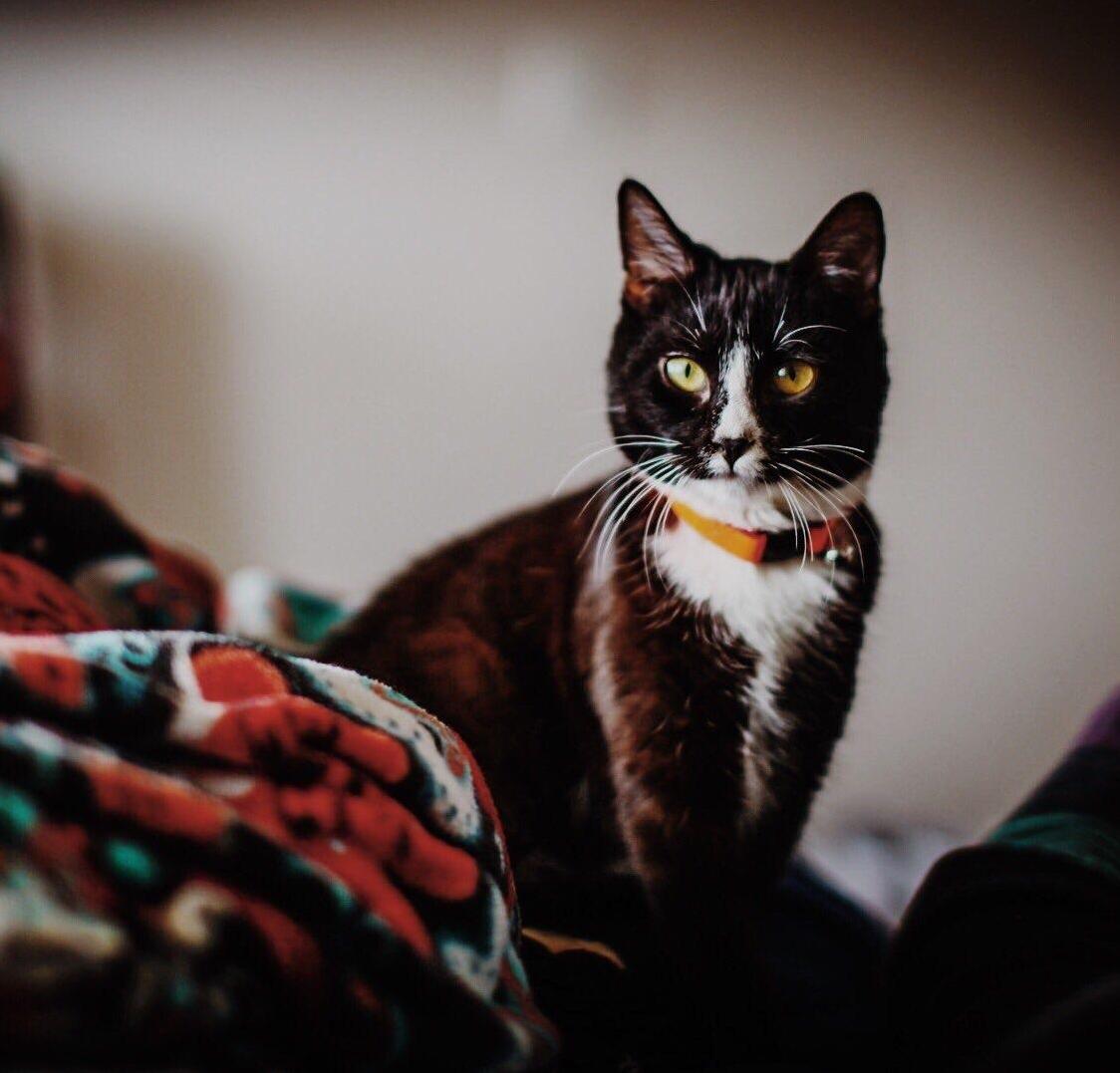 Little Boy We Just Adopted Is an Awesome Model