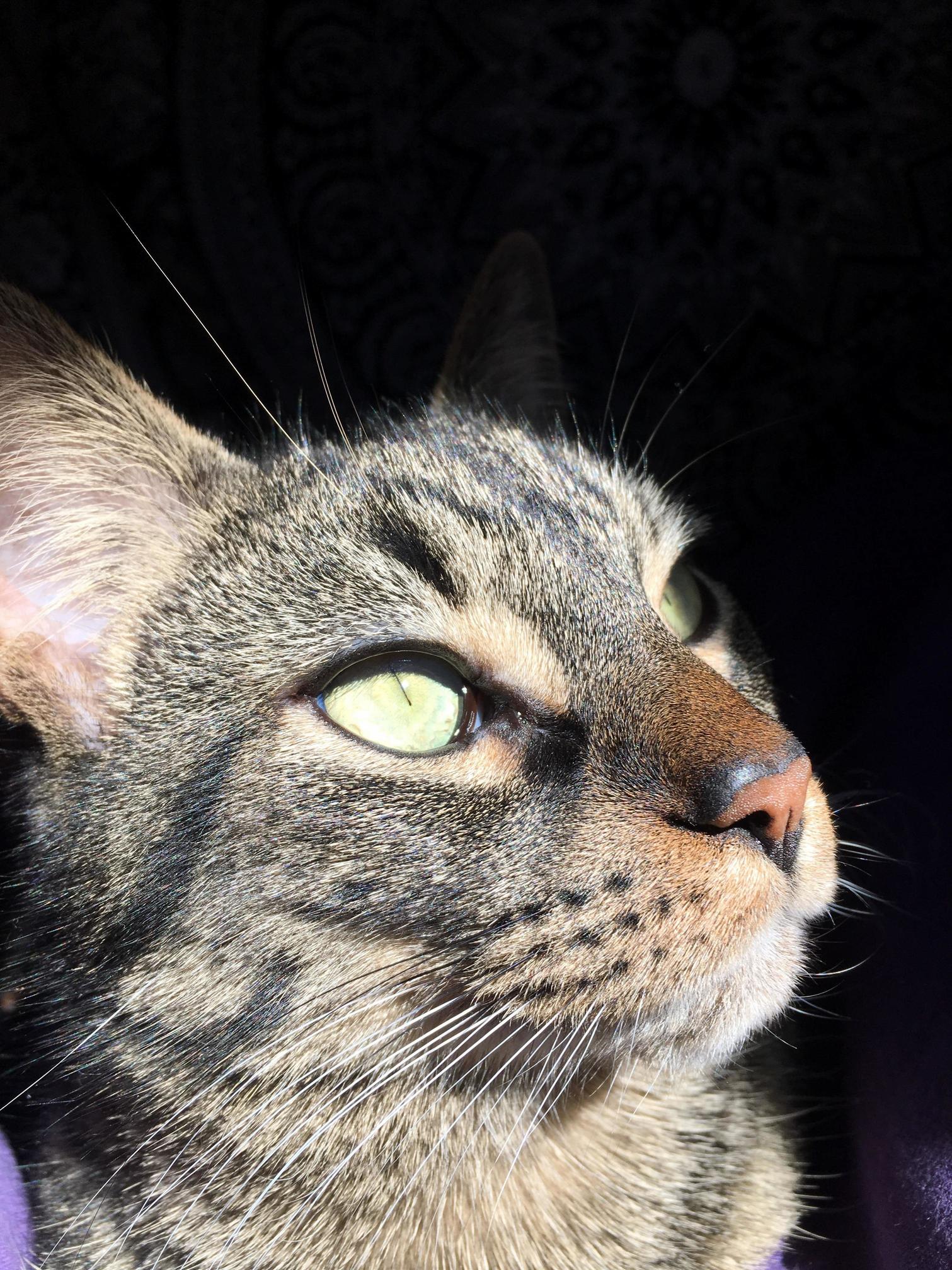 Look at His Eyes