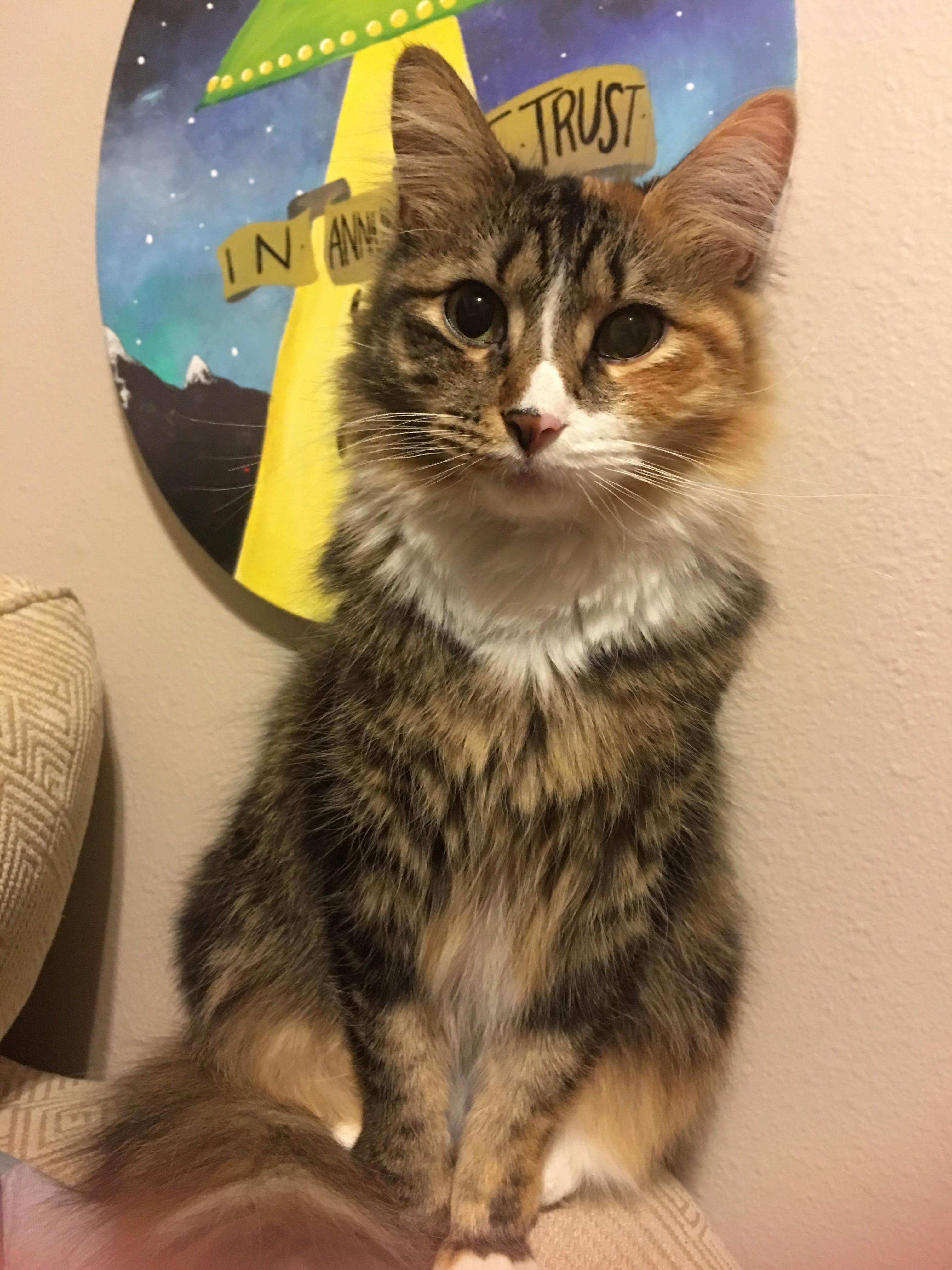 Look at This Little Super Model...