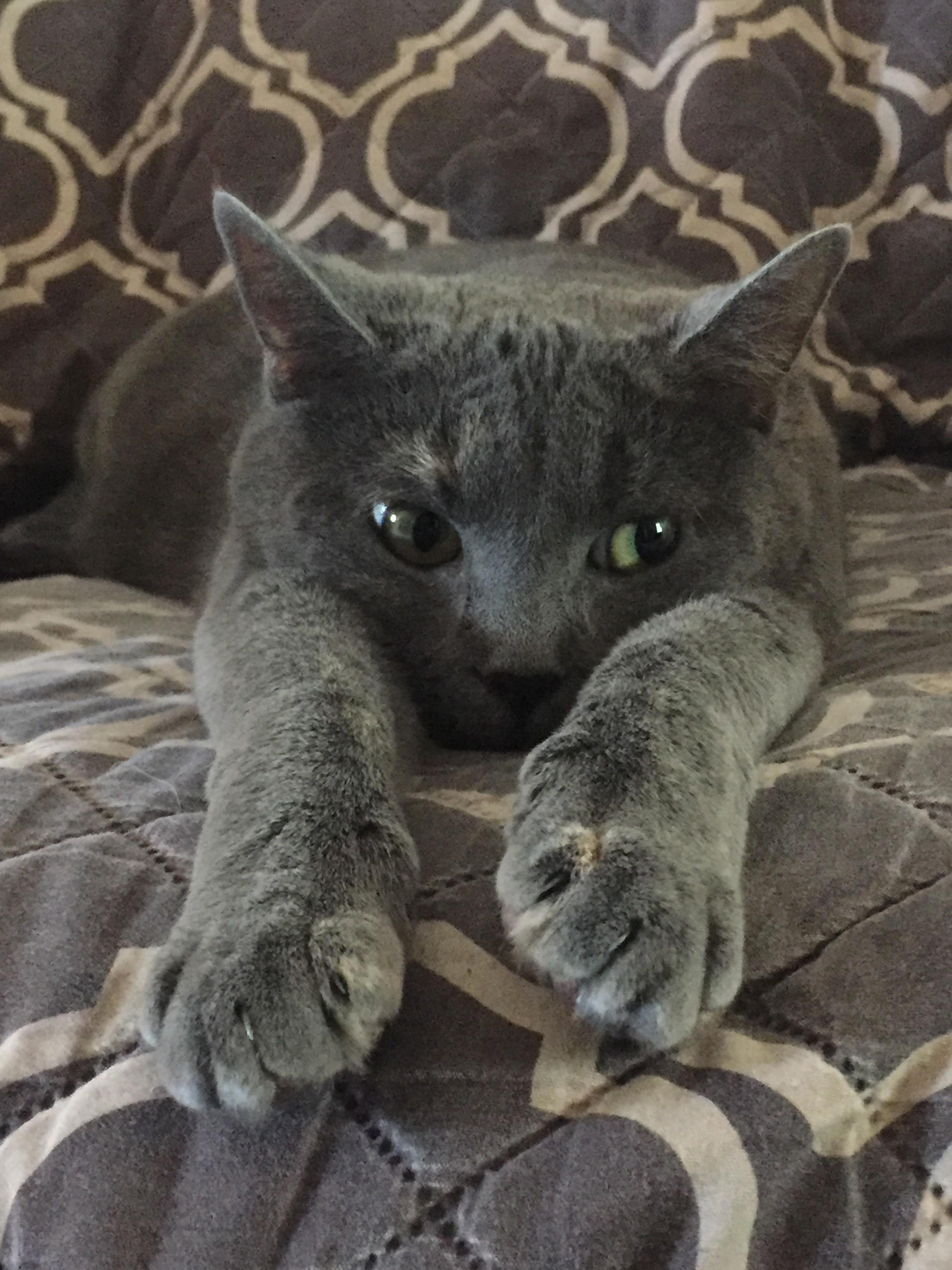 Lorraine Knows How to Look Cute and Up to No Good at the Same Time.