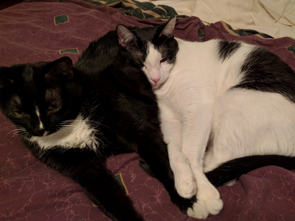 Love Is Putting Your Head Into Someones Butt