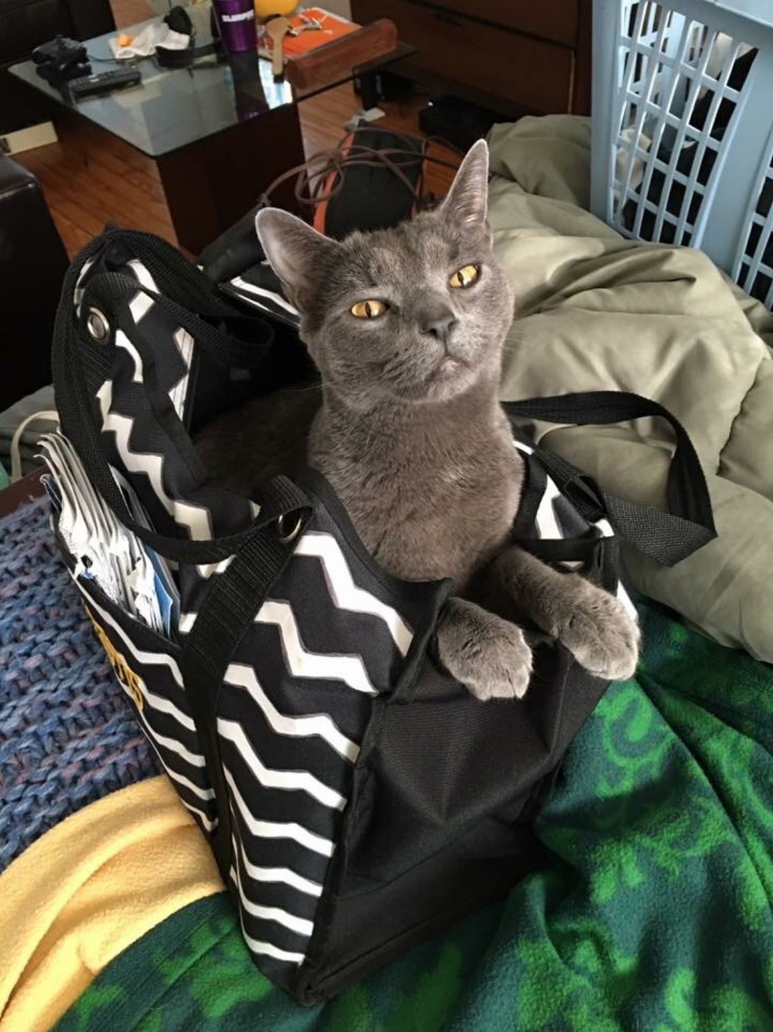 Luna Candid