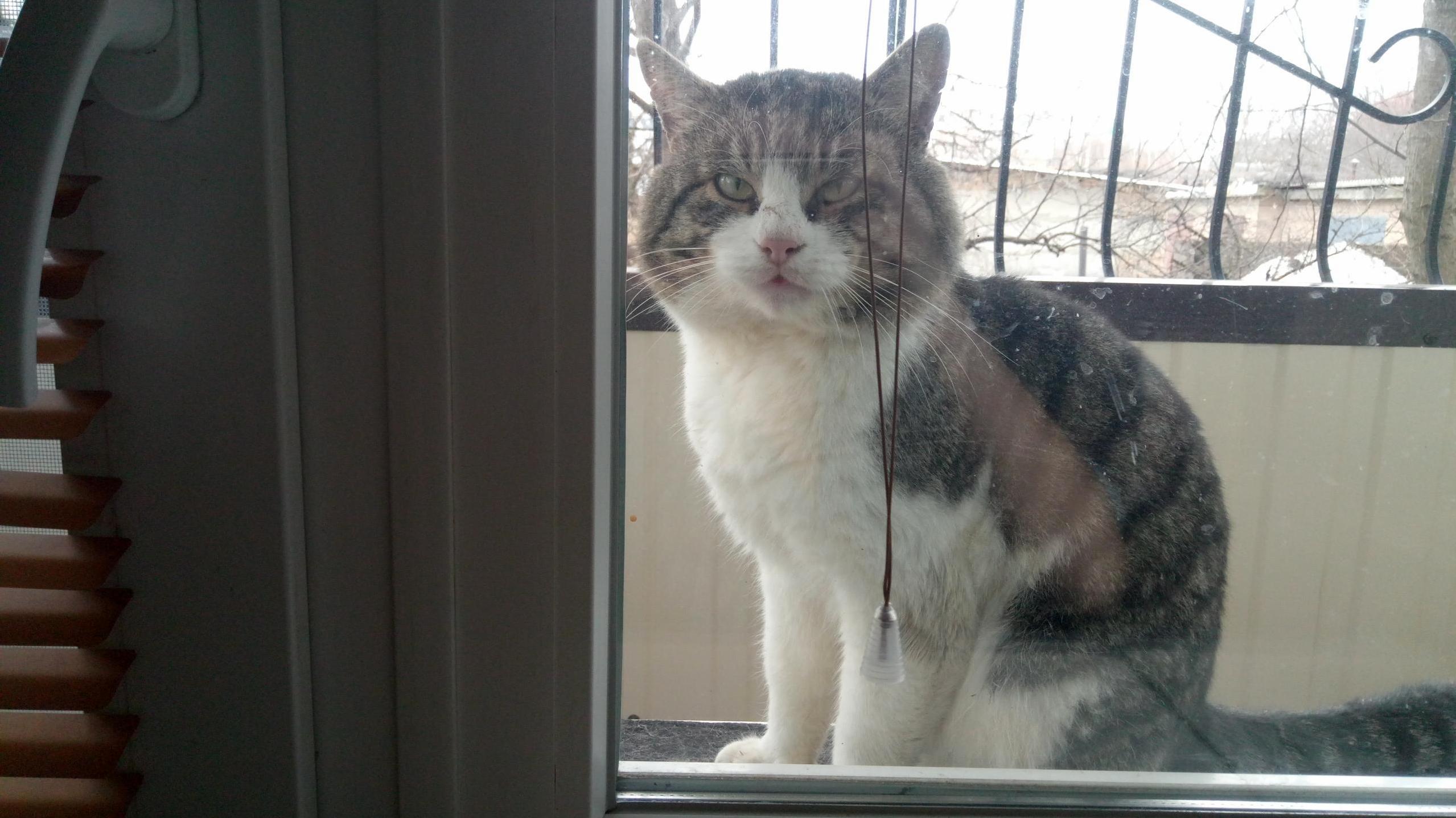 May I Come in