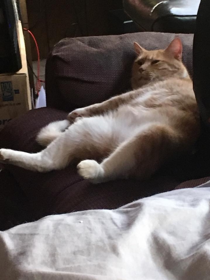 Mcgee Had a Long Day.