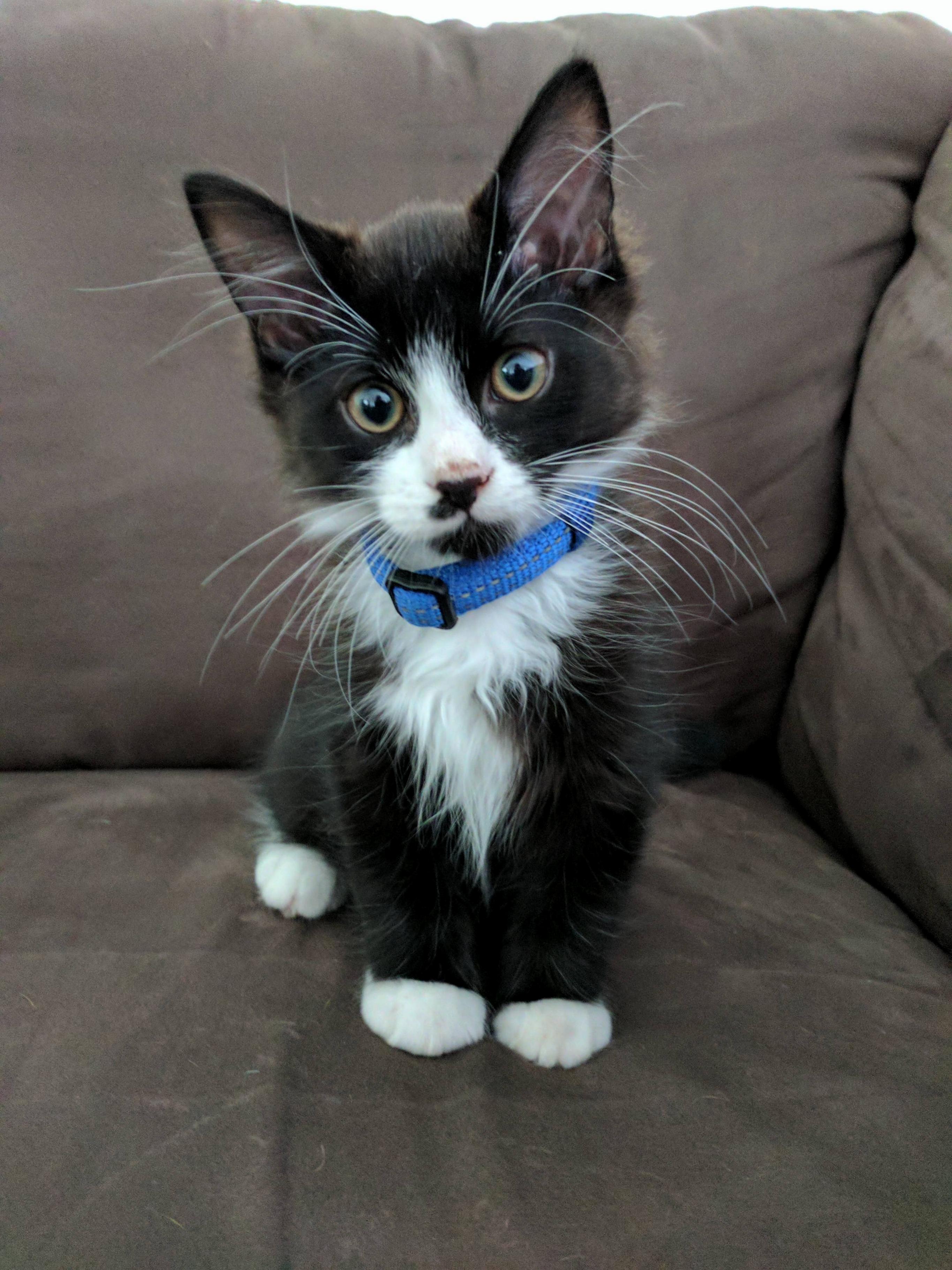 Meet My Boy Archy