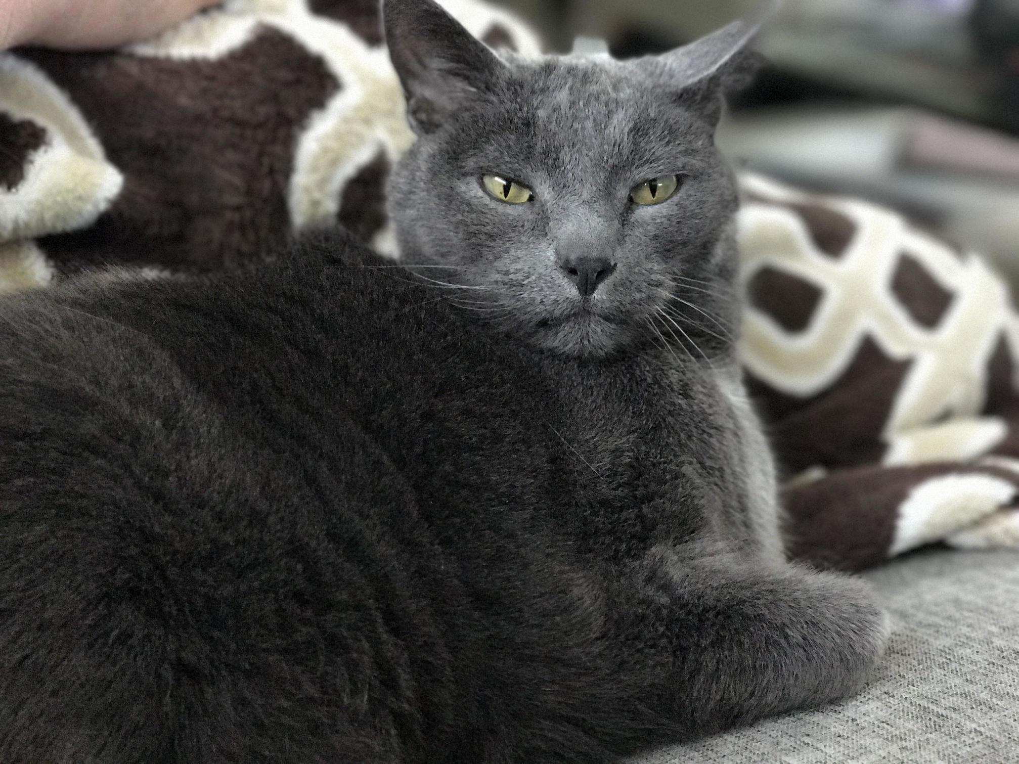 Moe Was Looking Extra Regal This Morning