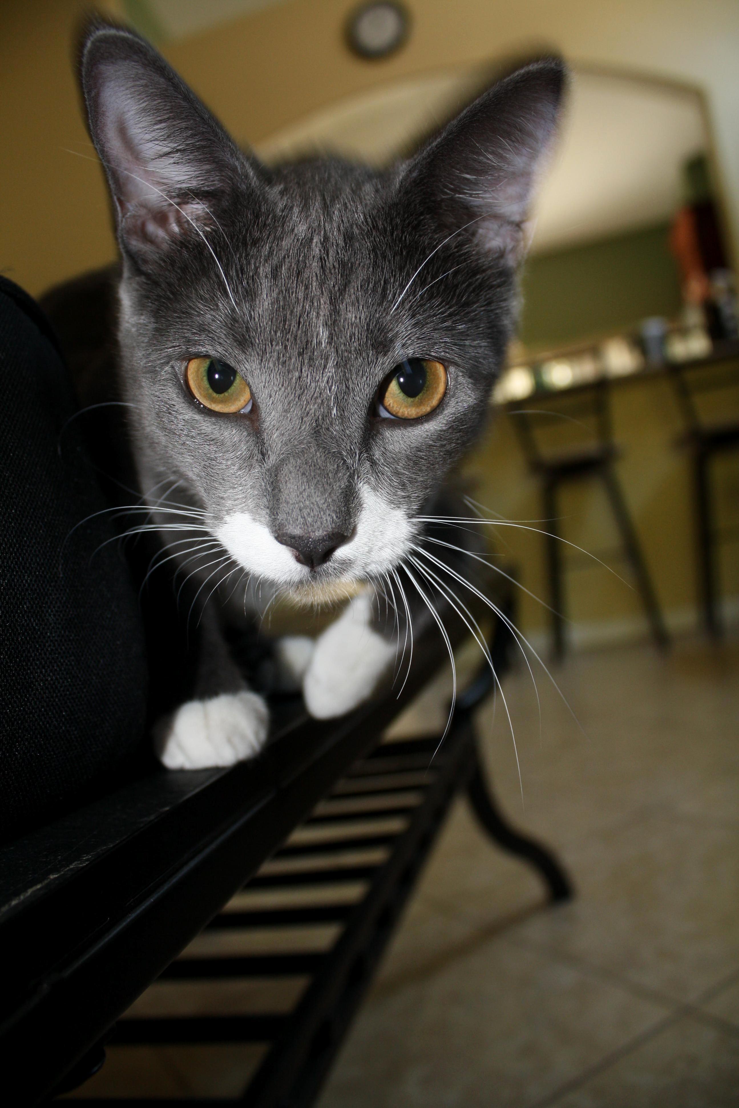 Moments Before Smacking My Camera.
