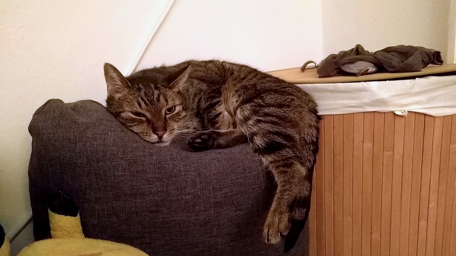 Mondays ...