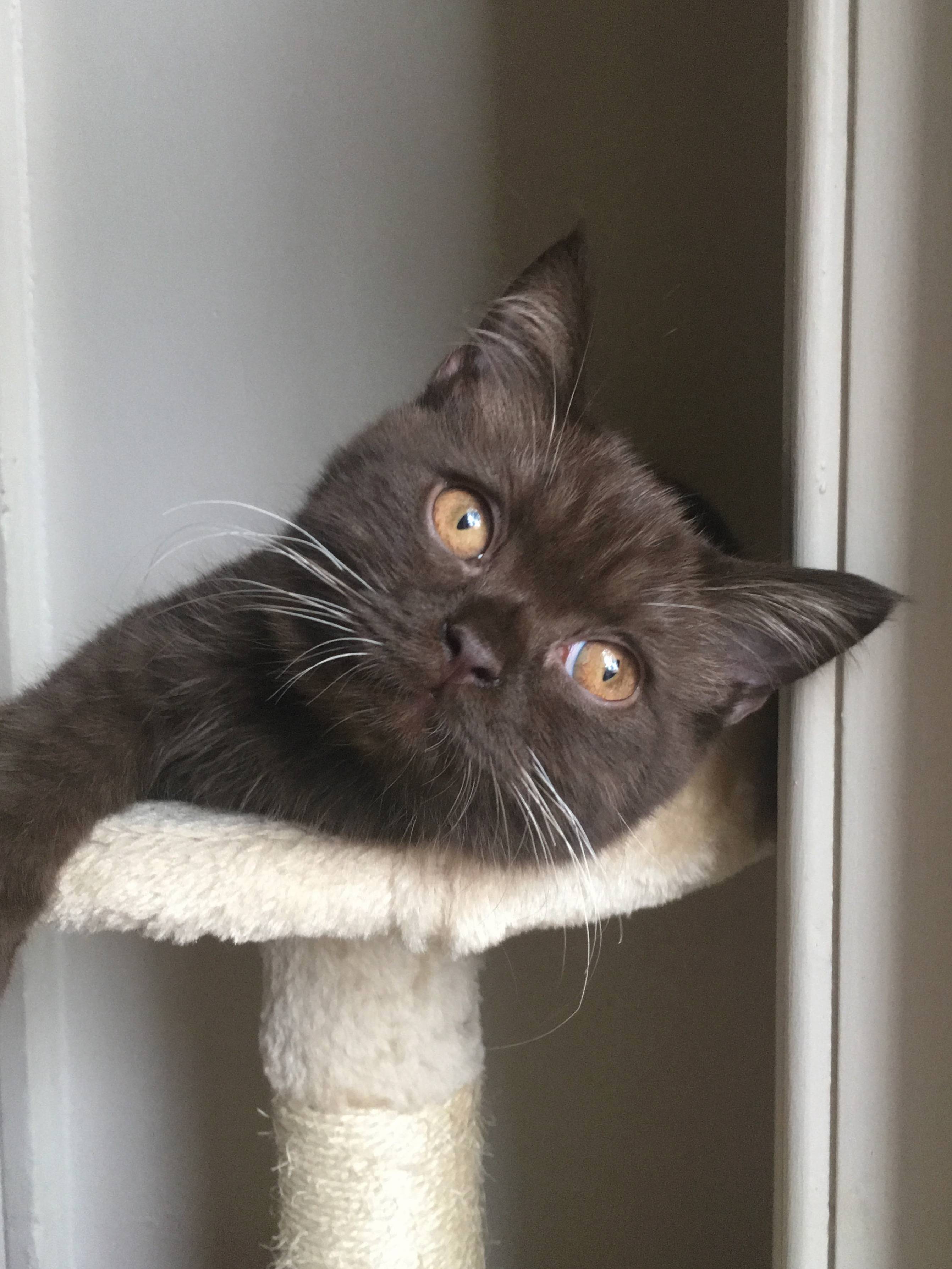Monty Is 5 Months Old Next Week