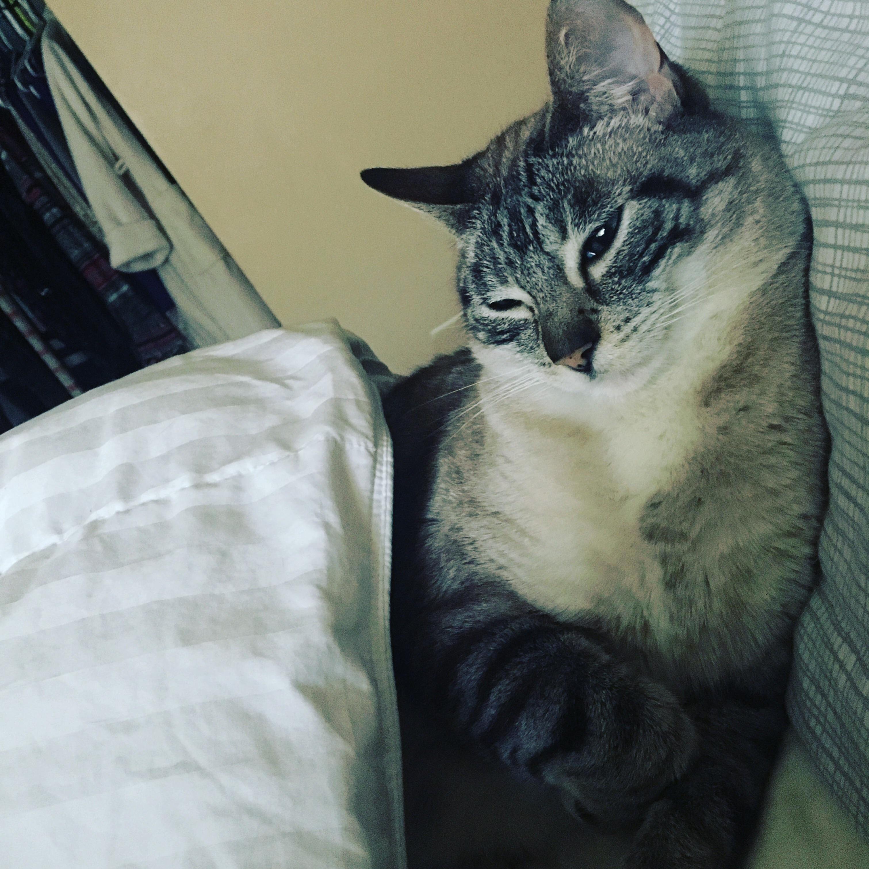 Mr. Steal Yo Girl