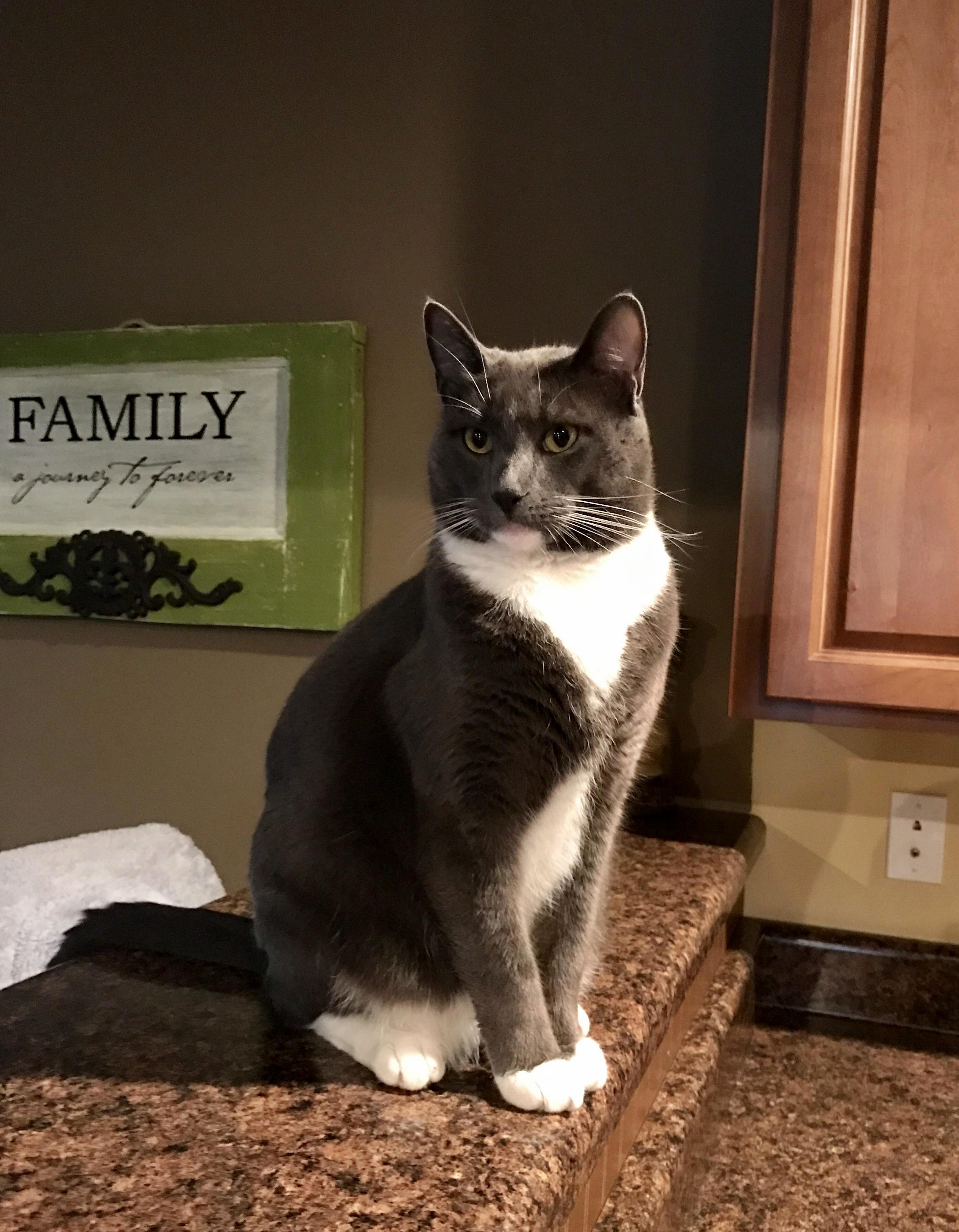My 2yo Hank