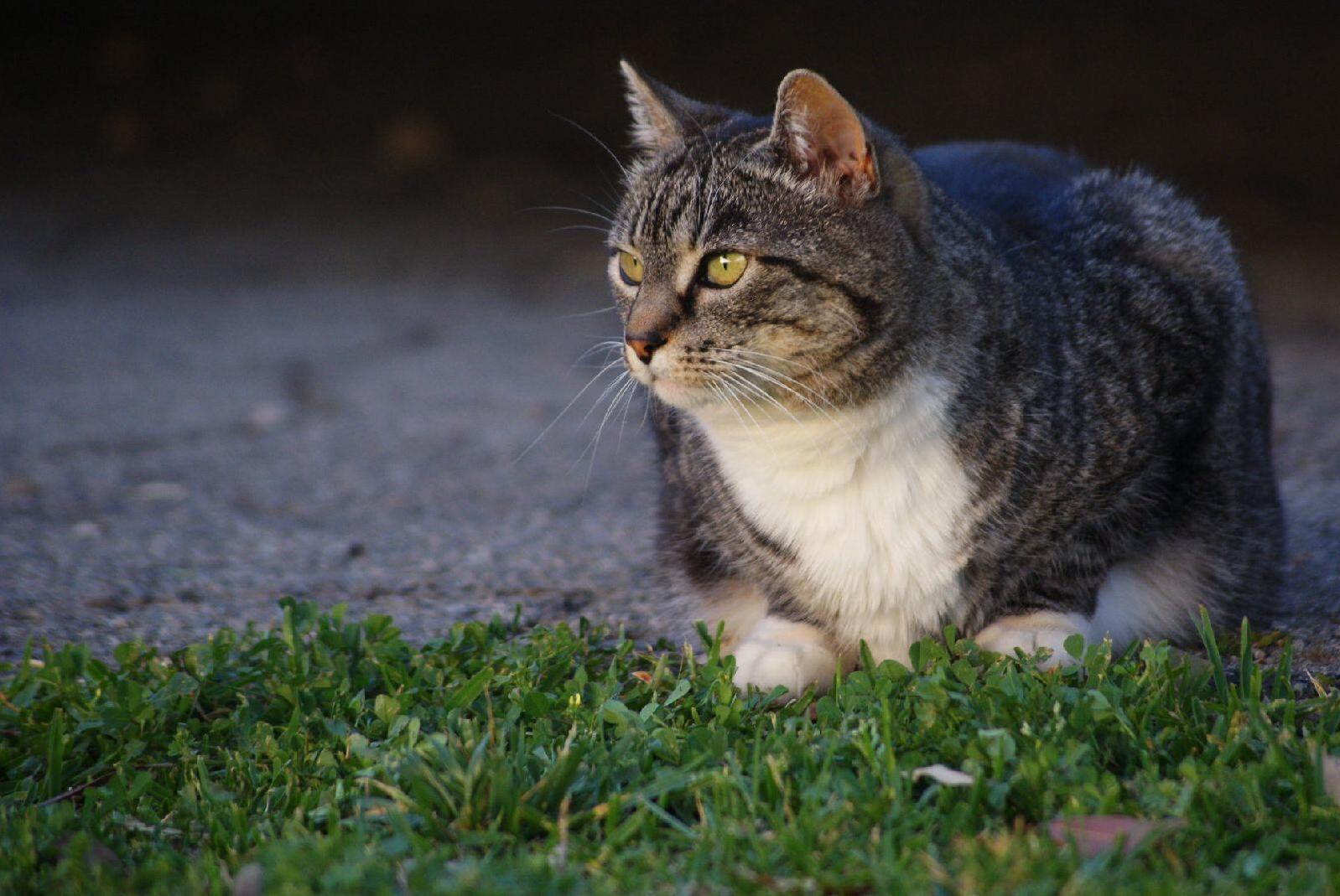 My 9 Y.o. Model