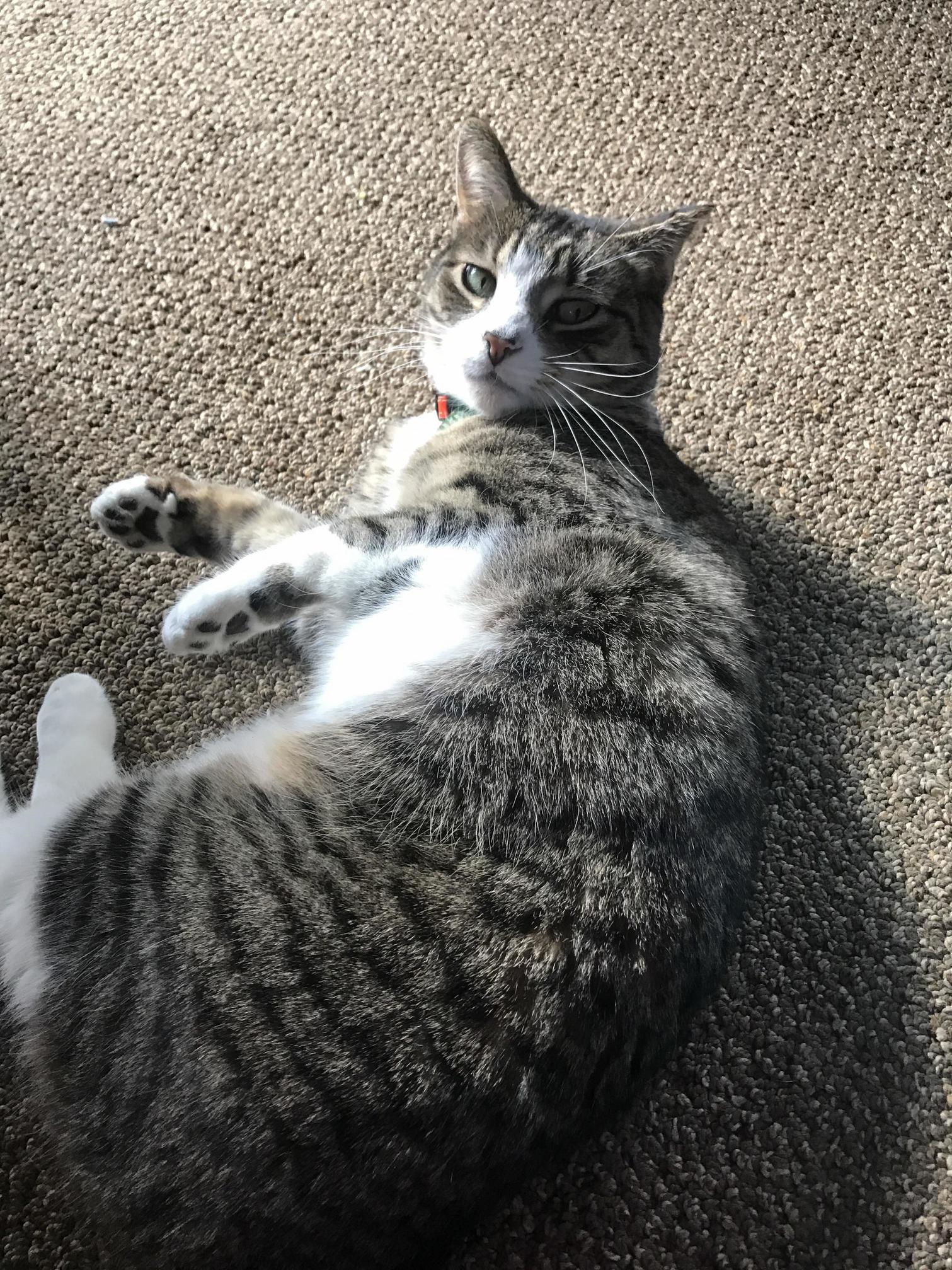My Baby Girl Enjoying the Sun