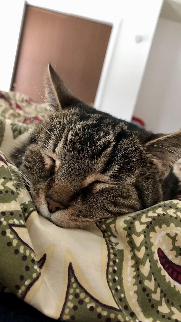 My Beautiful Sweet Dee.