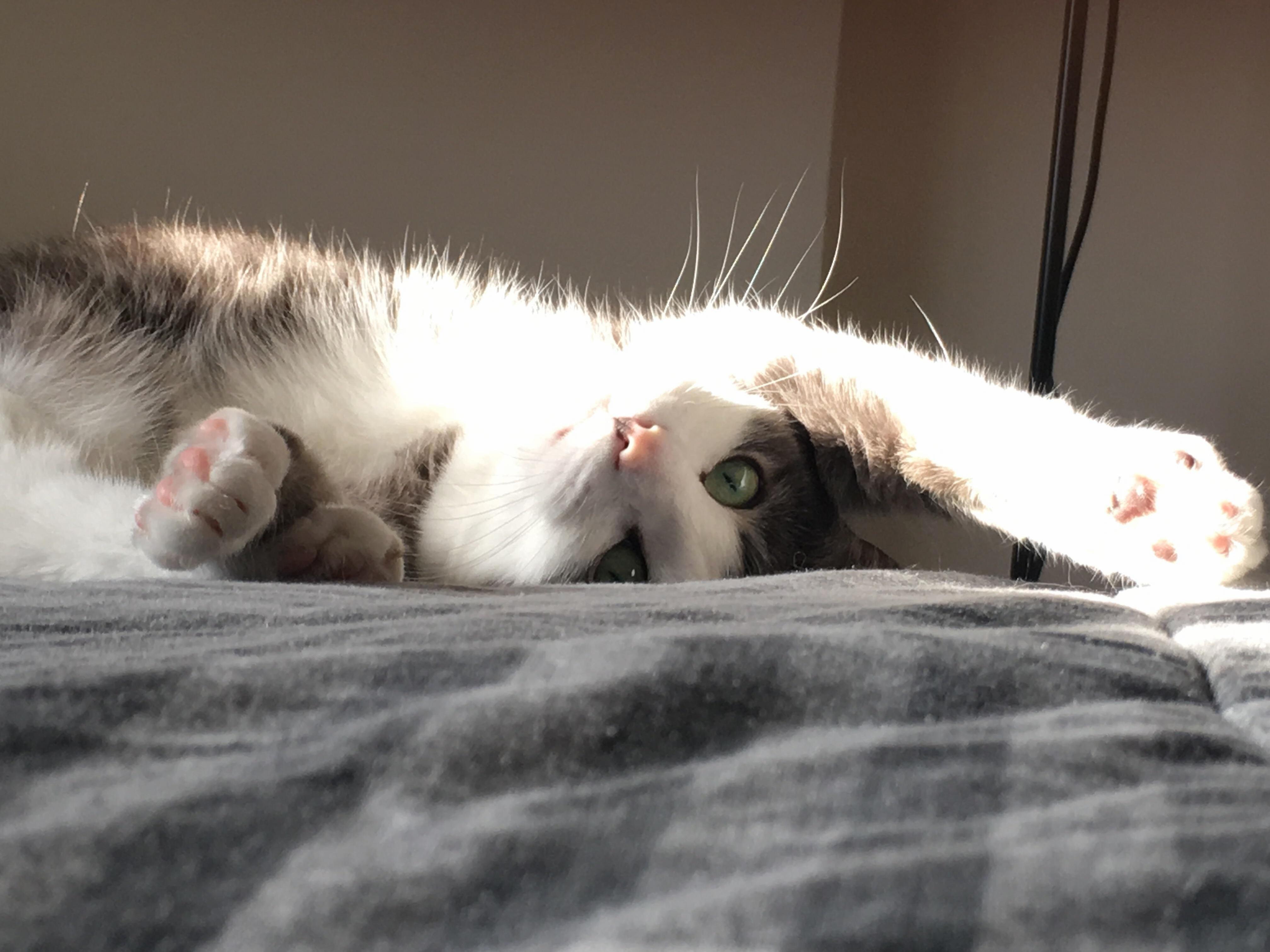 My Dummy Enjoying the Sun