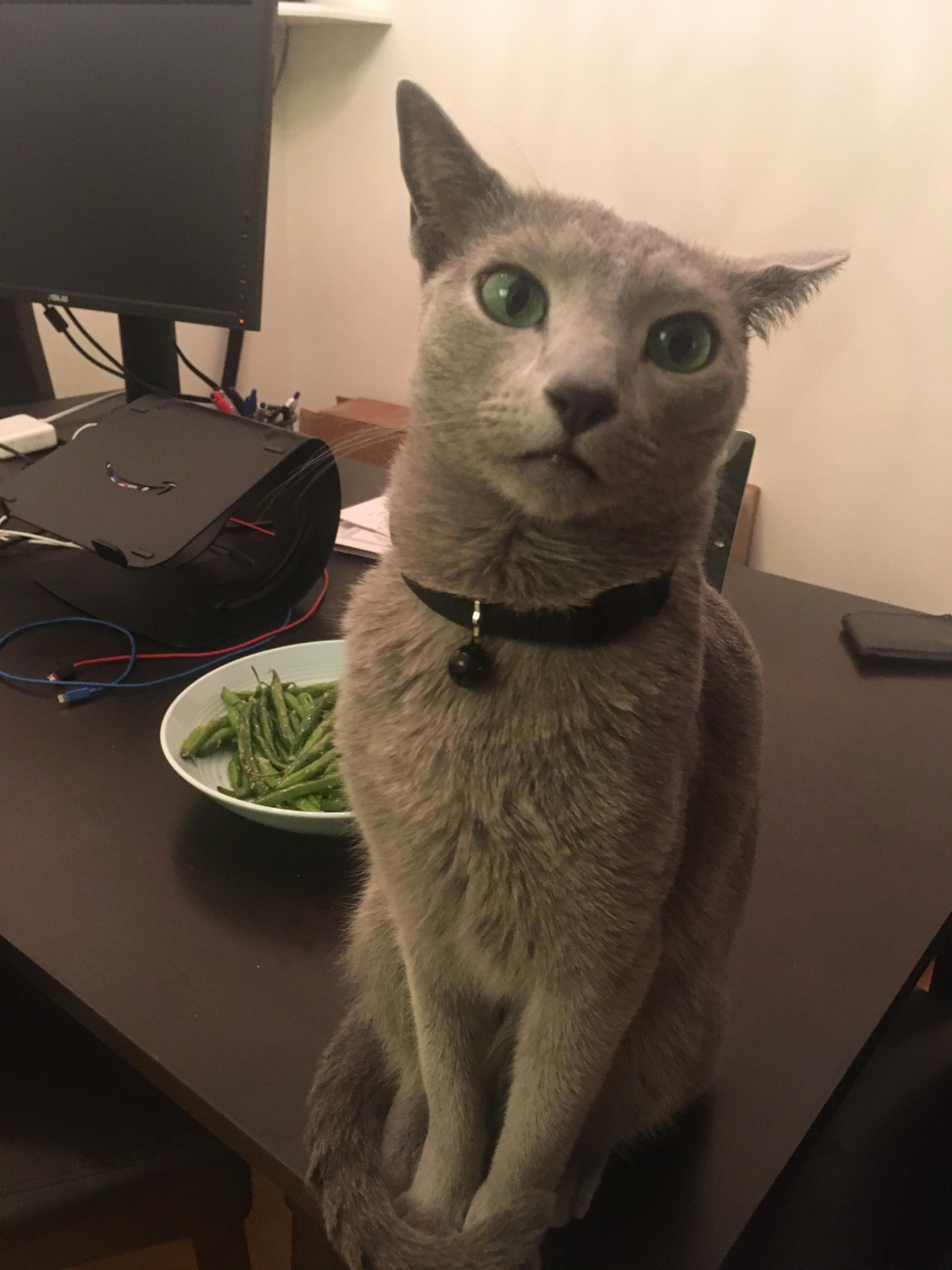 My Face When I Hear Did You Eat Your Vegetables