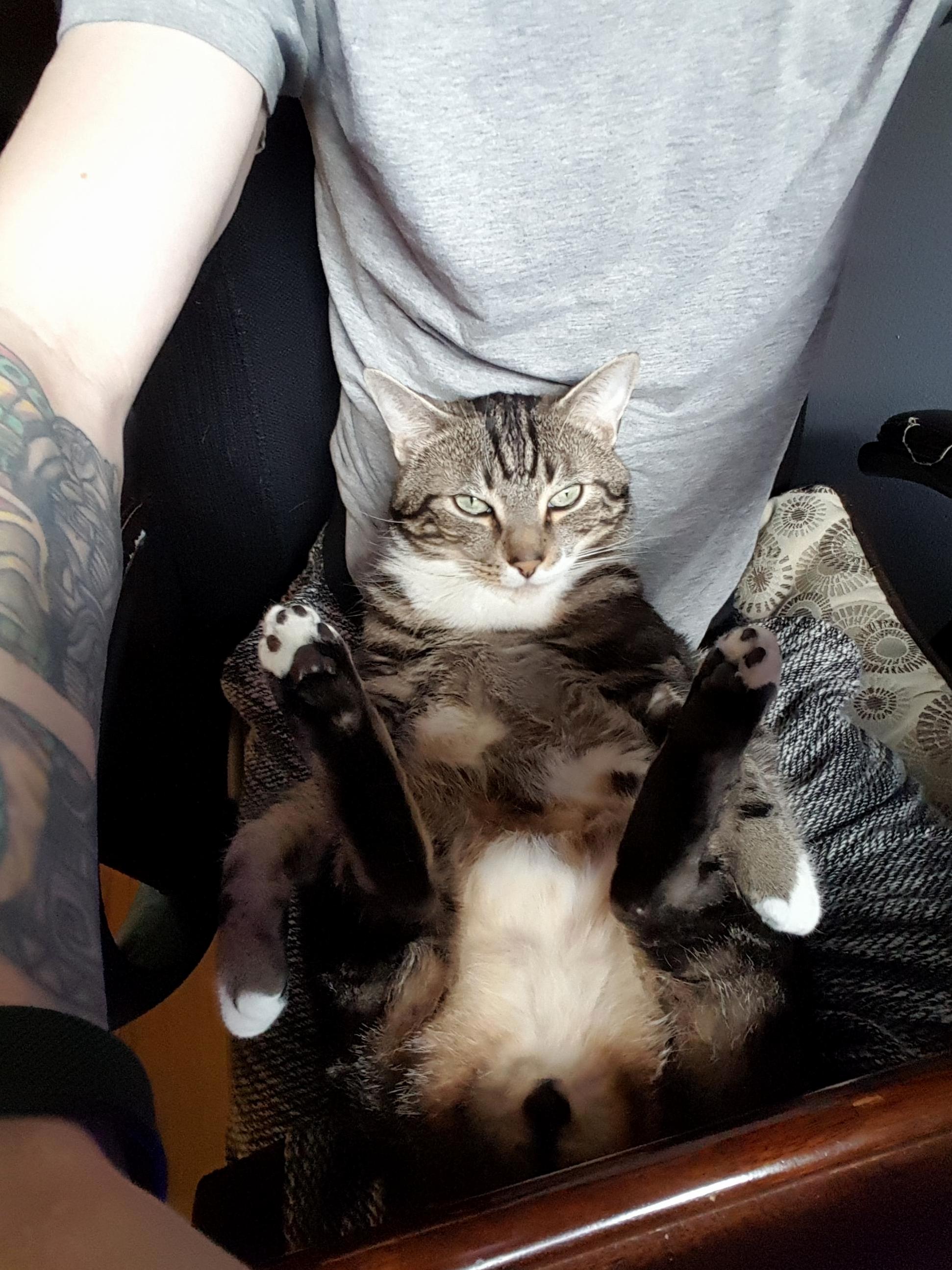 My Gaming Buddy