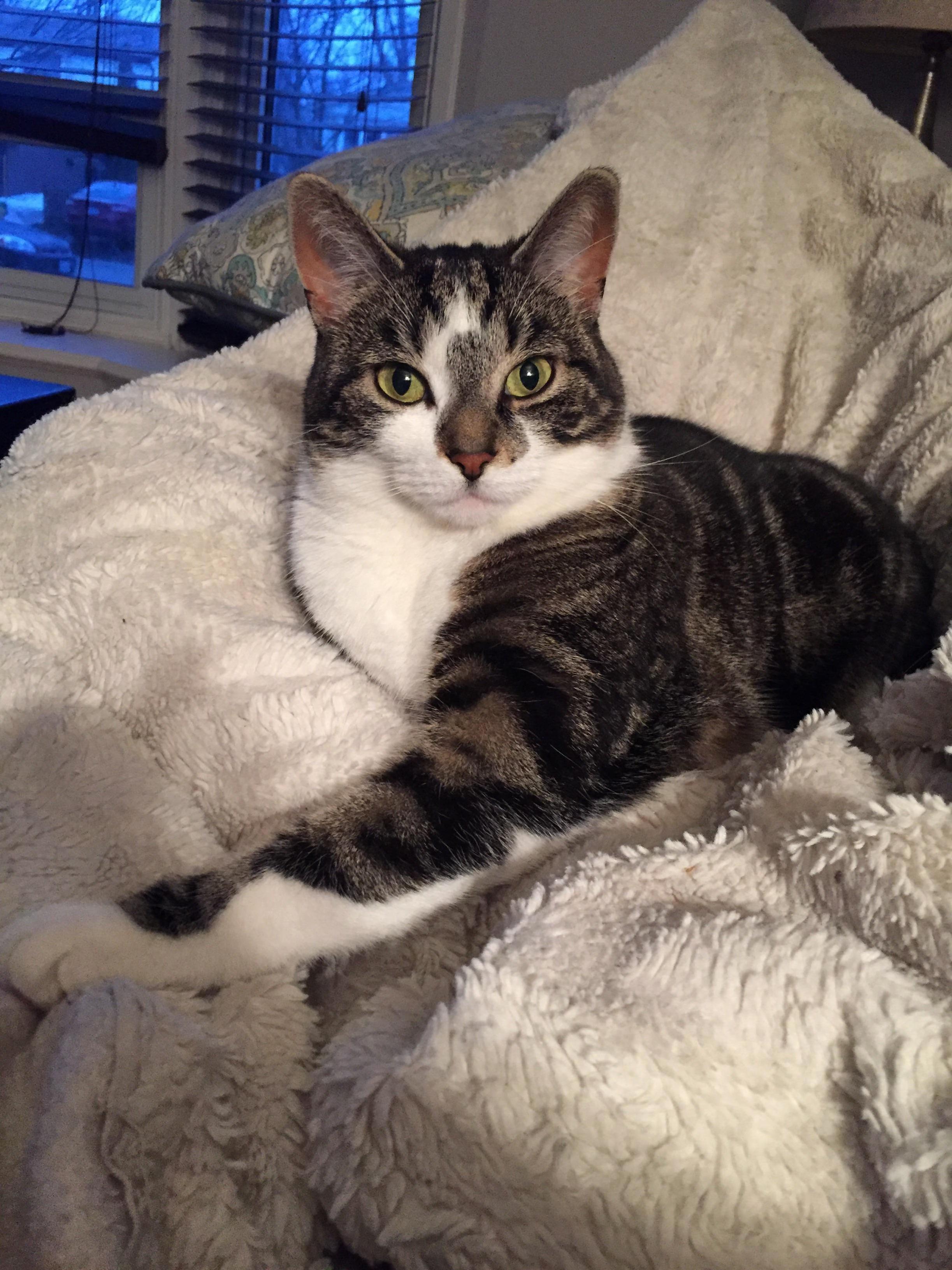 My Girl Annie Just Lounging