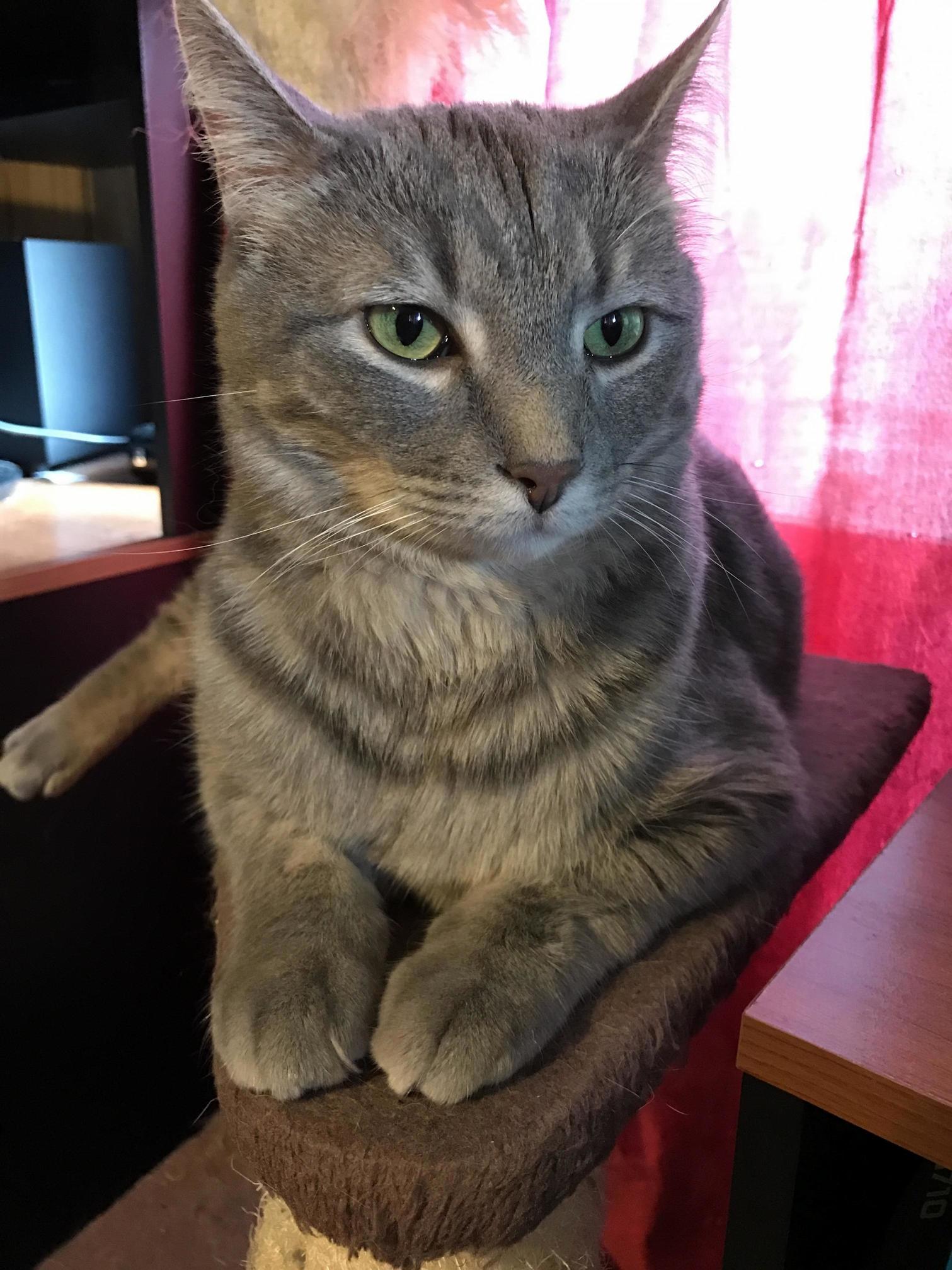 My Gorgeous Little Green Eyed Man