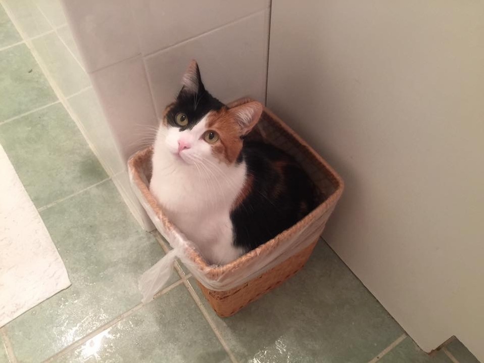 My Mom Walked Into the Bathroom and Found Her Like This