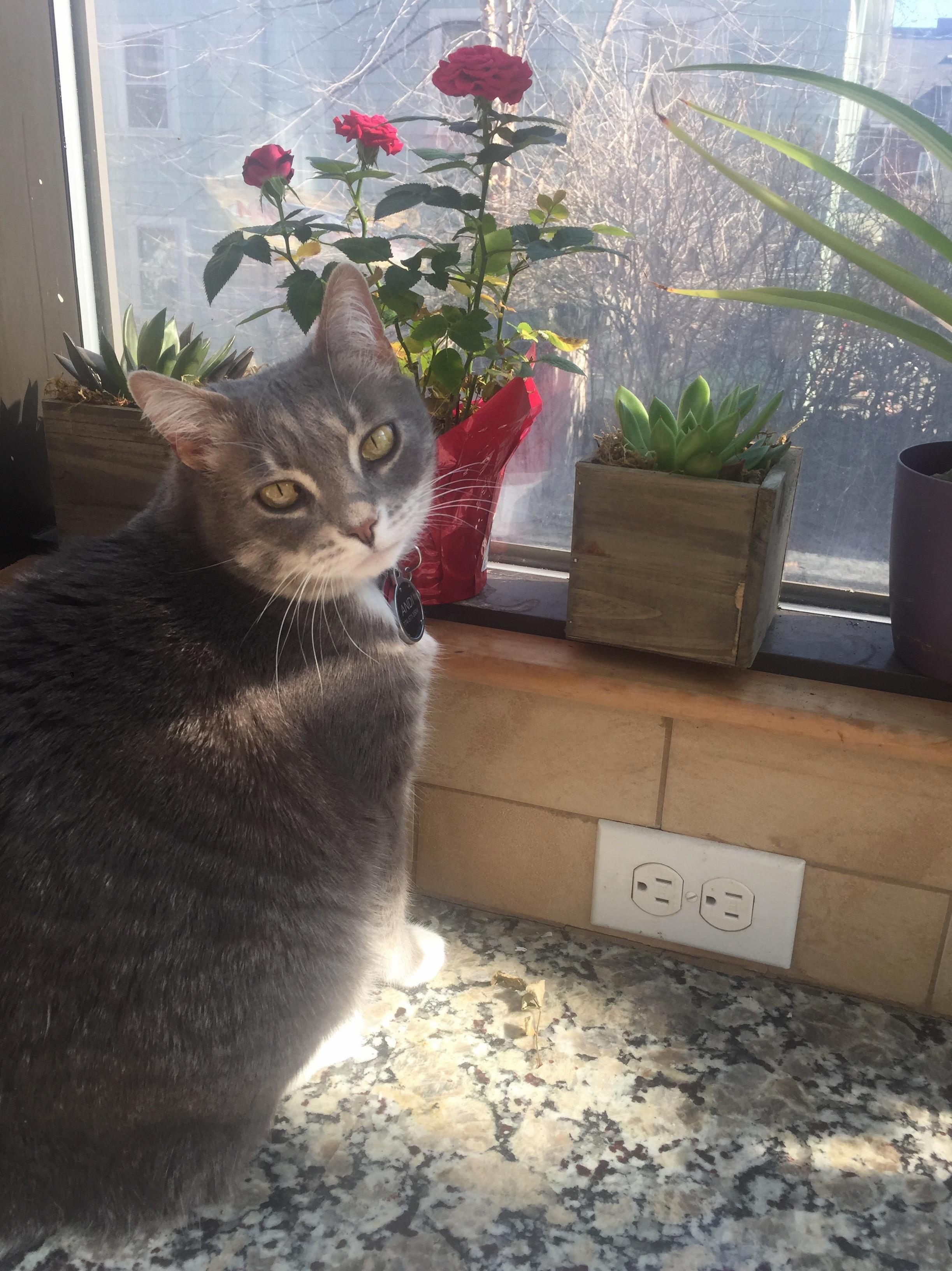 My Sweet Girl Andi Likes to Stop and Smell the Roses
