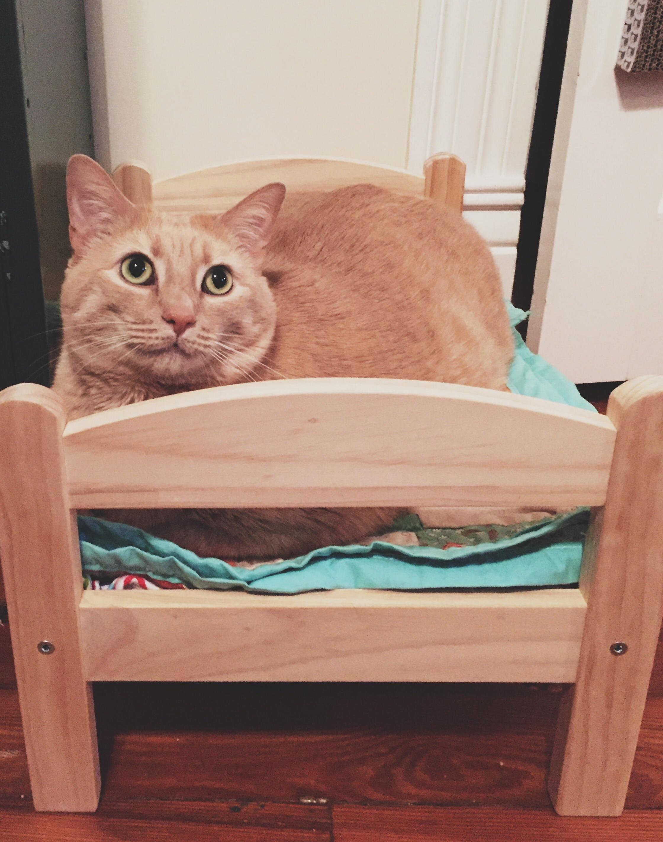 Nathans First Big Boy Bed