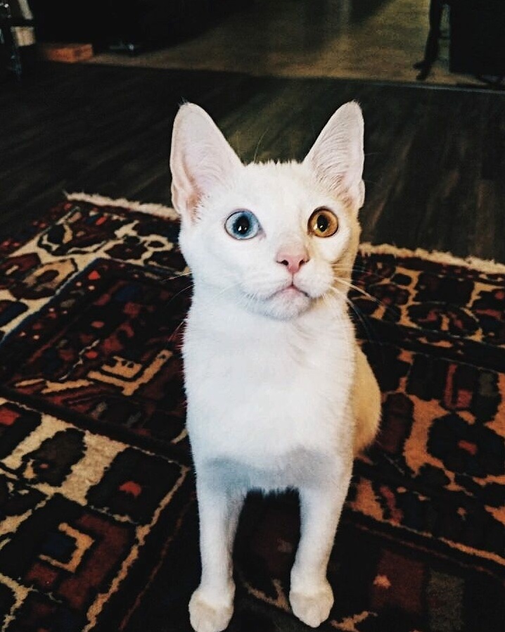Newest Member of the Family