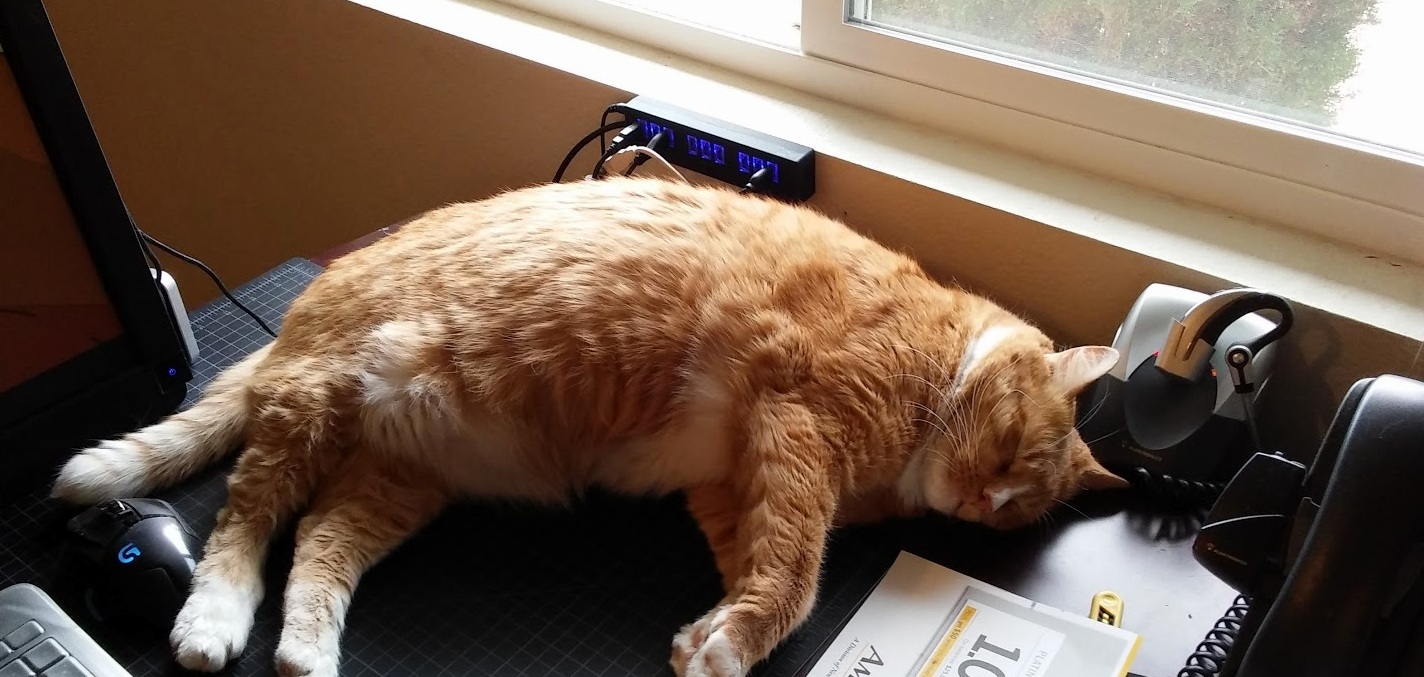 No Fear. I Sleep Where I Want