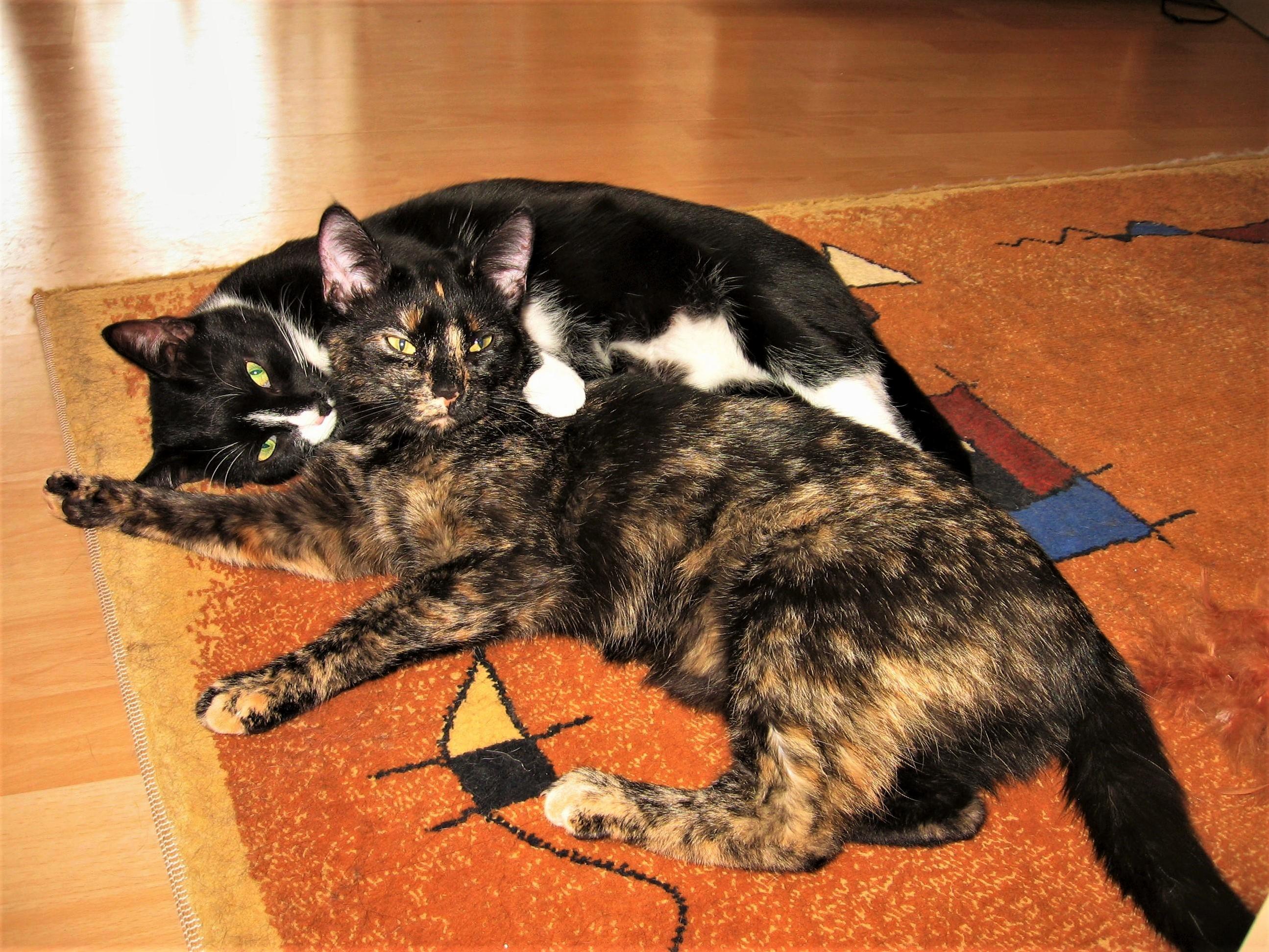 Nope. Totally Not Fighting Mom. Just Cuddling. See