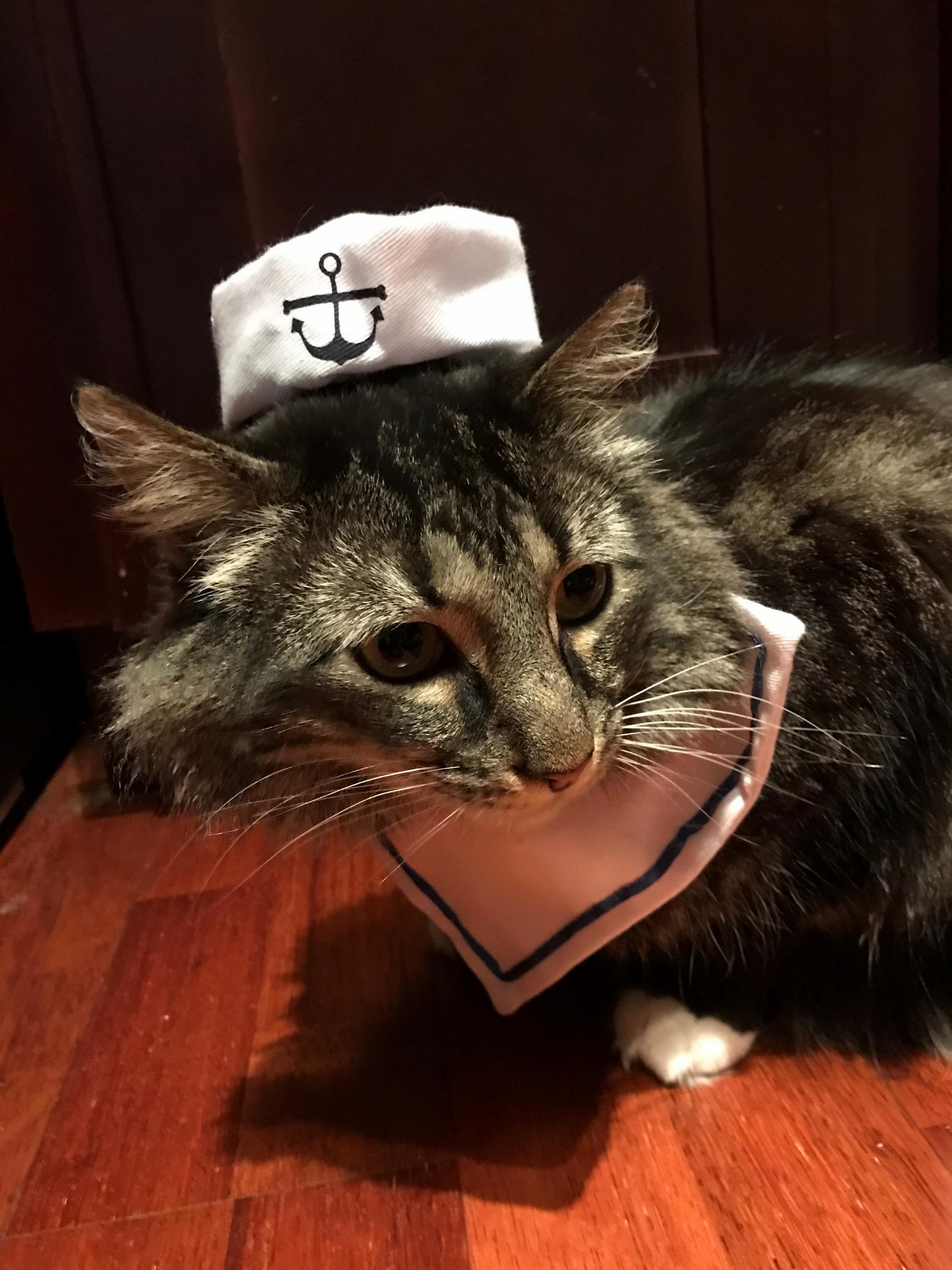 Oh a Sailors Life Is the Life for Me... This Sailor Is So Mad at Me Right Now.