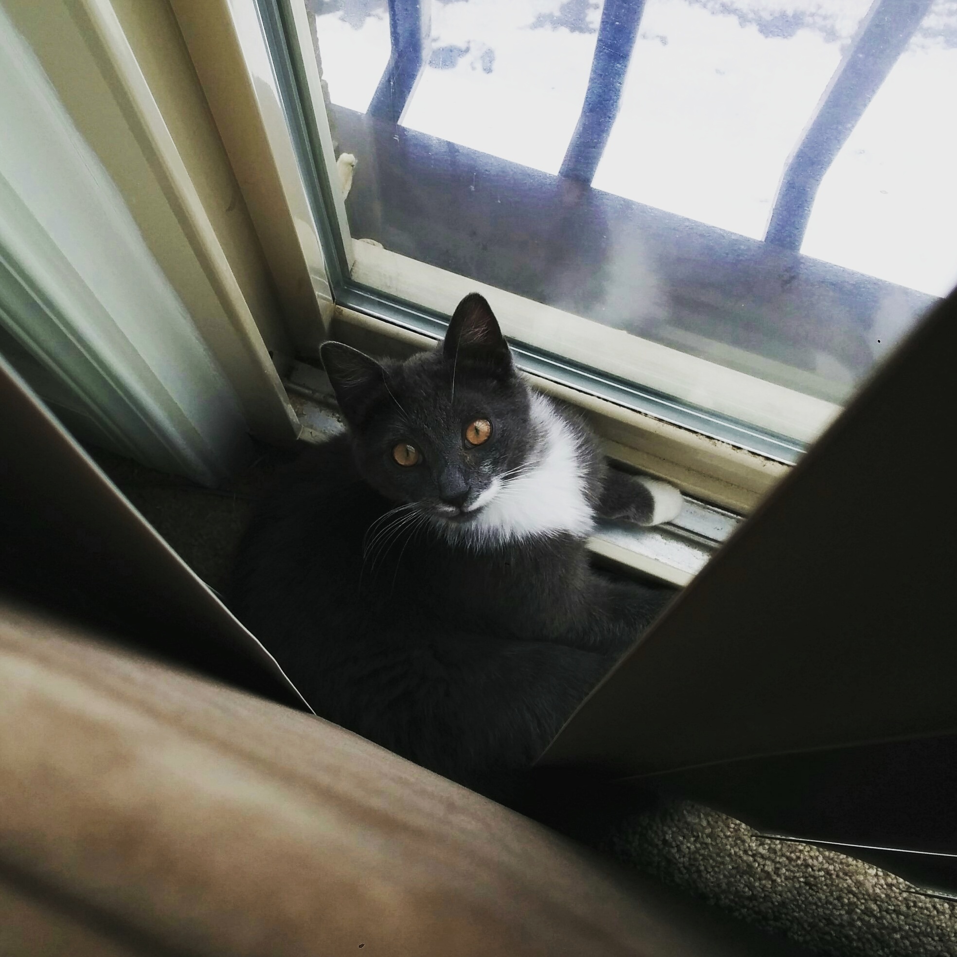Oh Hey Didnt See You There.