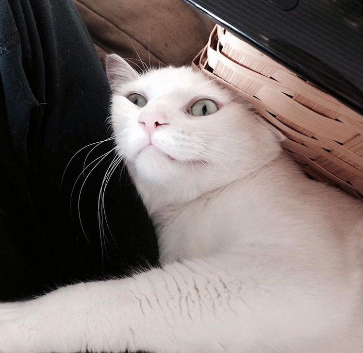 Oh Hey Dont Mind Me...