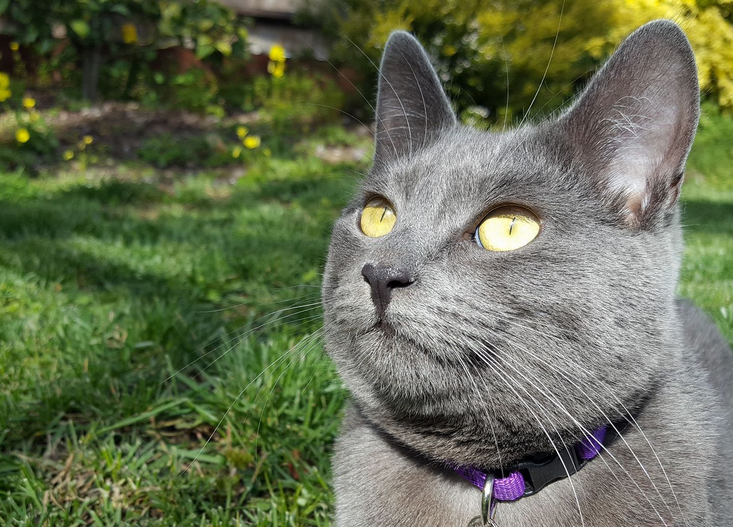 Our One Year Old Bird Watching.