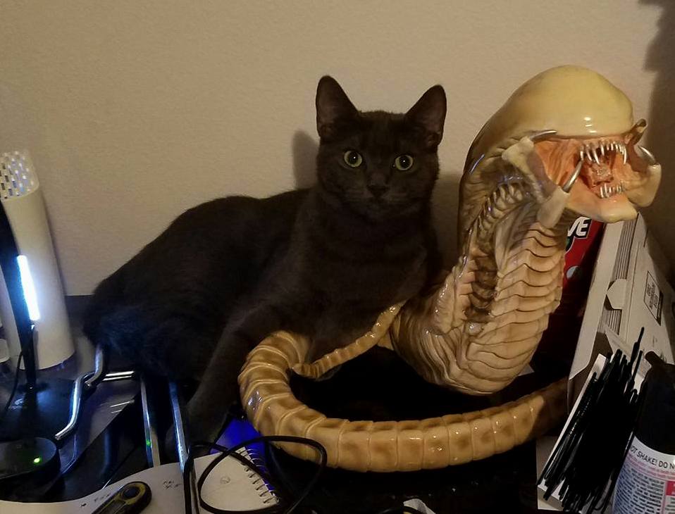 Pepper and Xenomorph