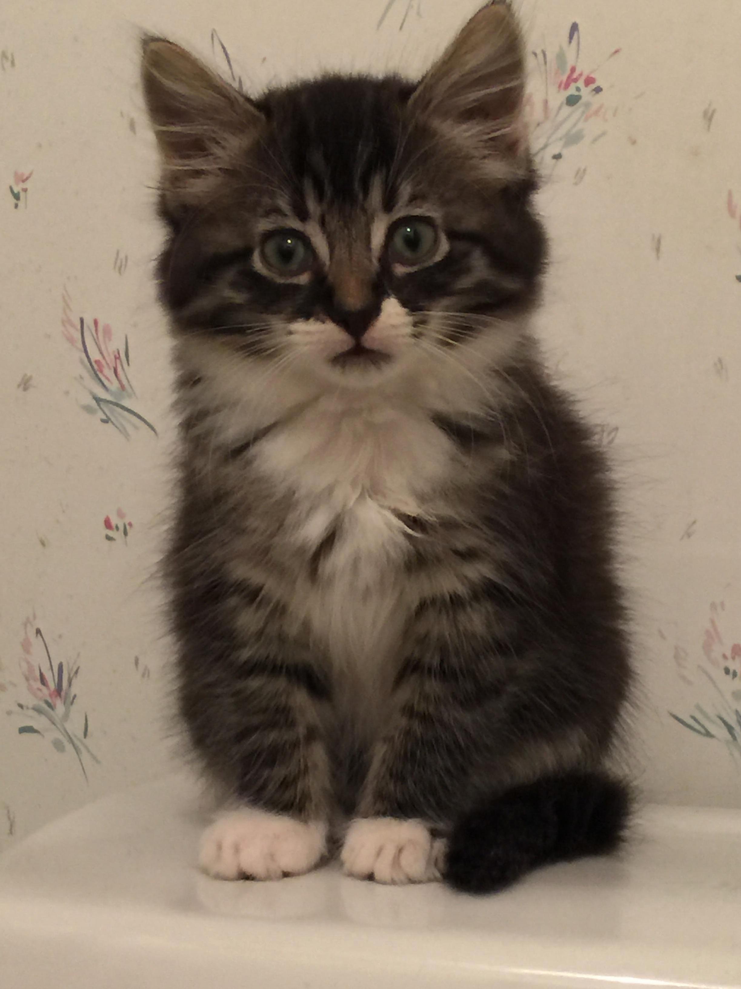 Phoebe Marie.