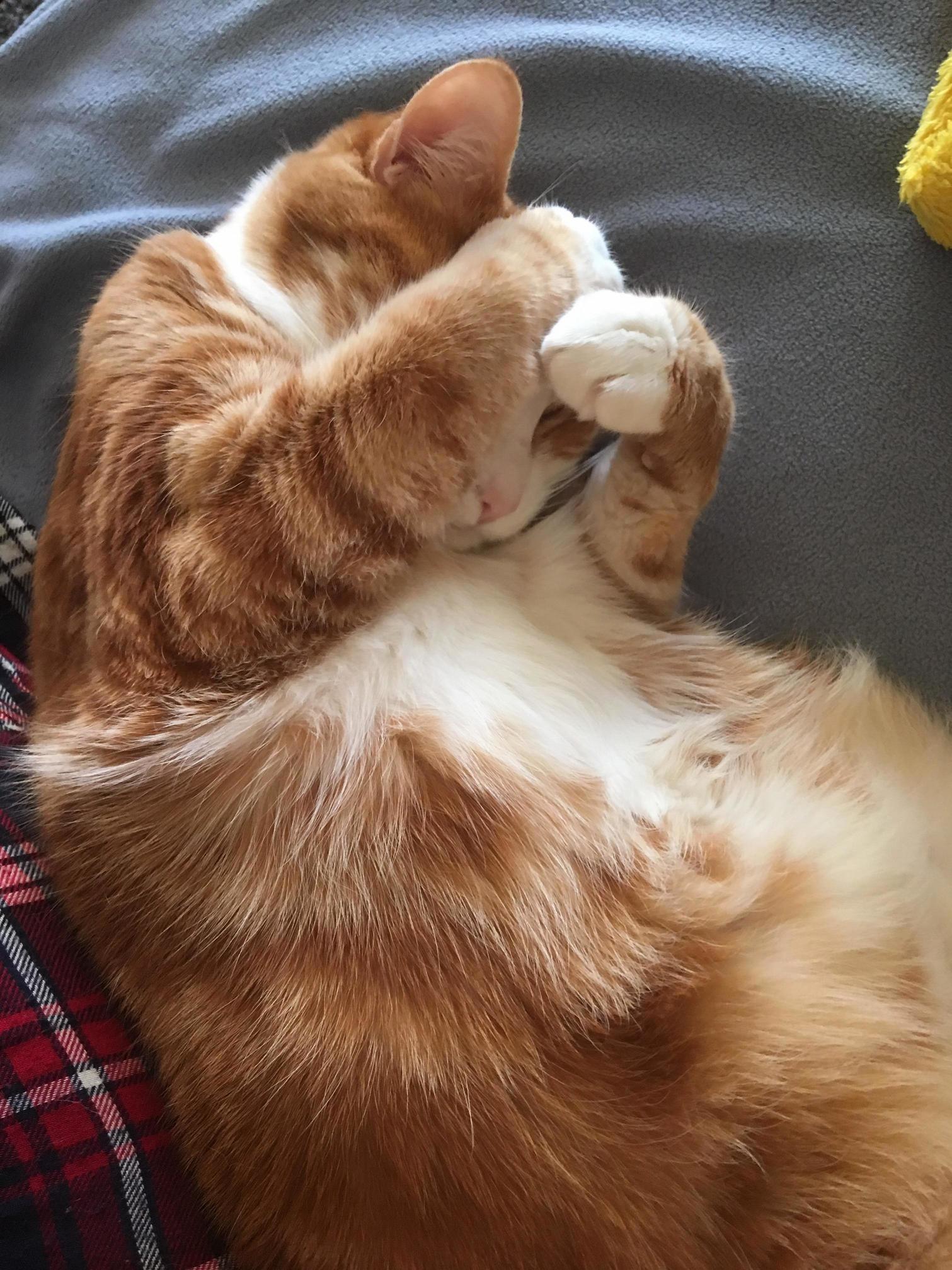 Please Dont Make Me Start the Day