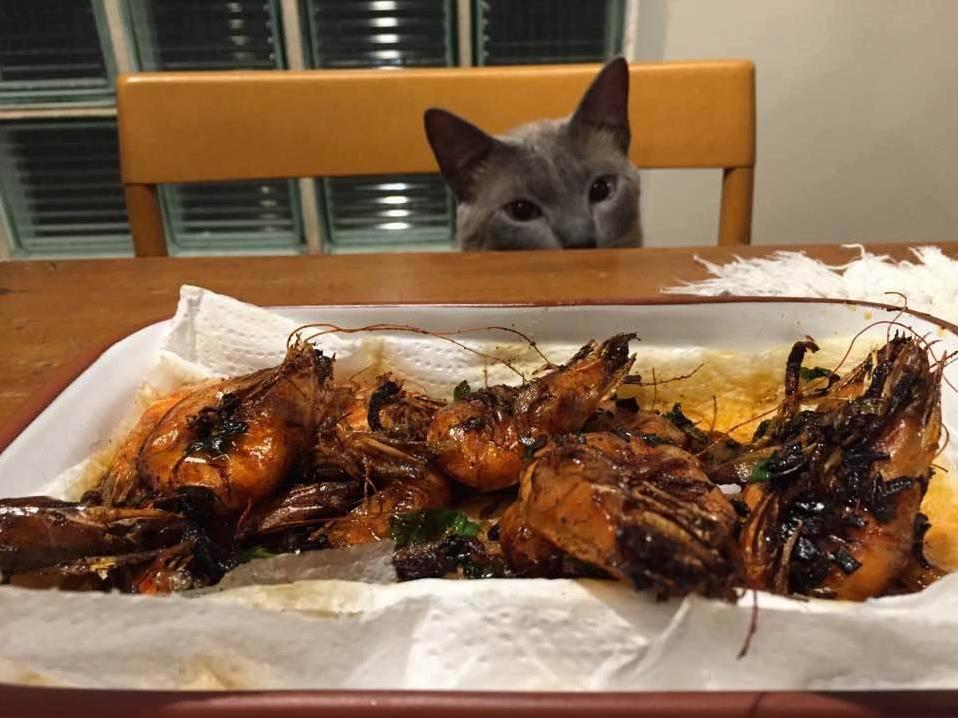 Please God Please Give Me One of Those Shrimp.