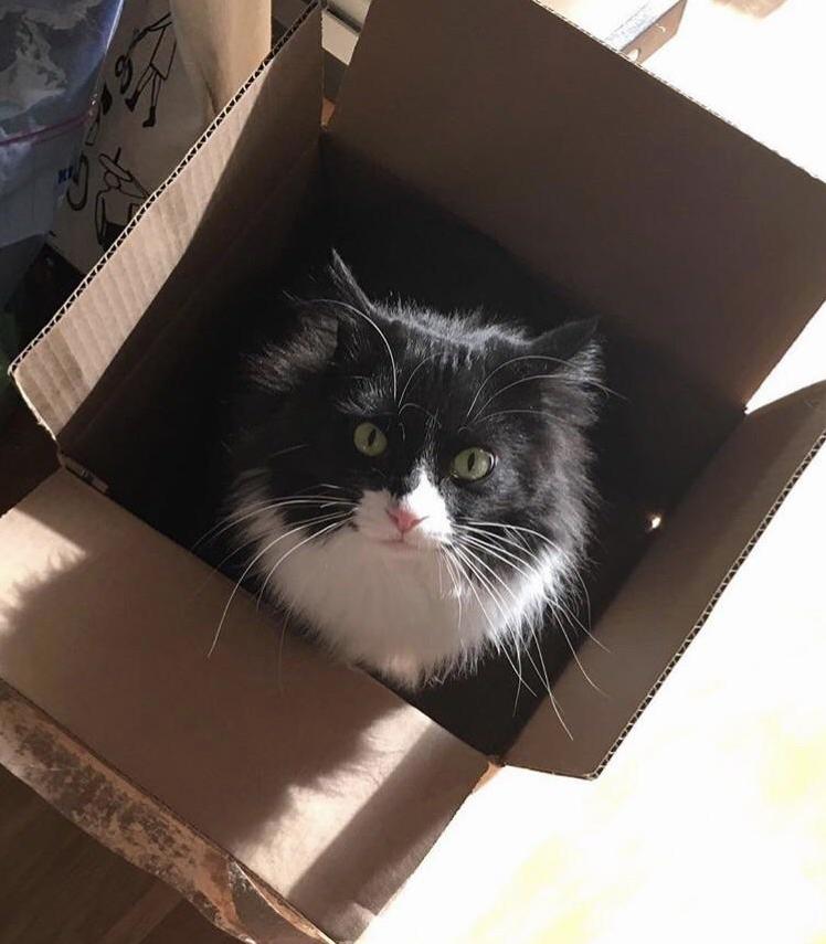 Please Take Me with You to the New House Too