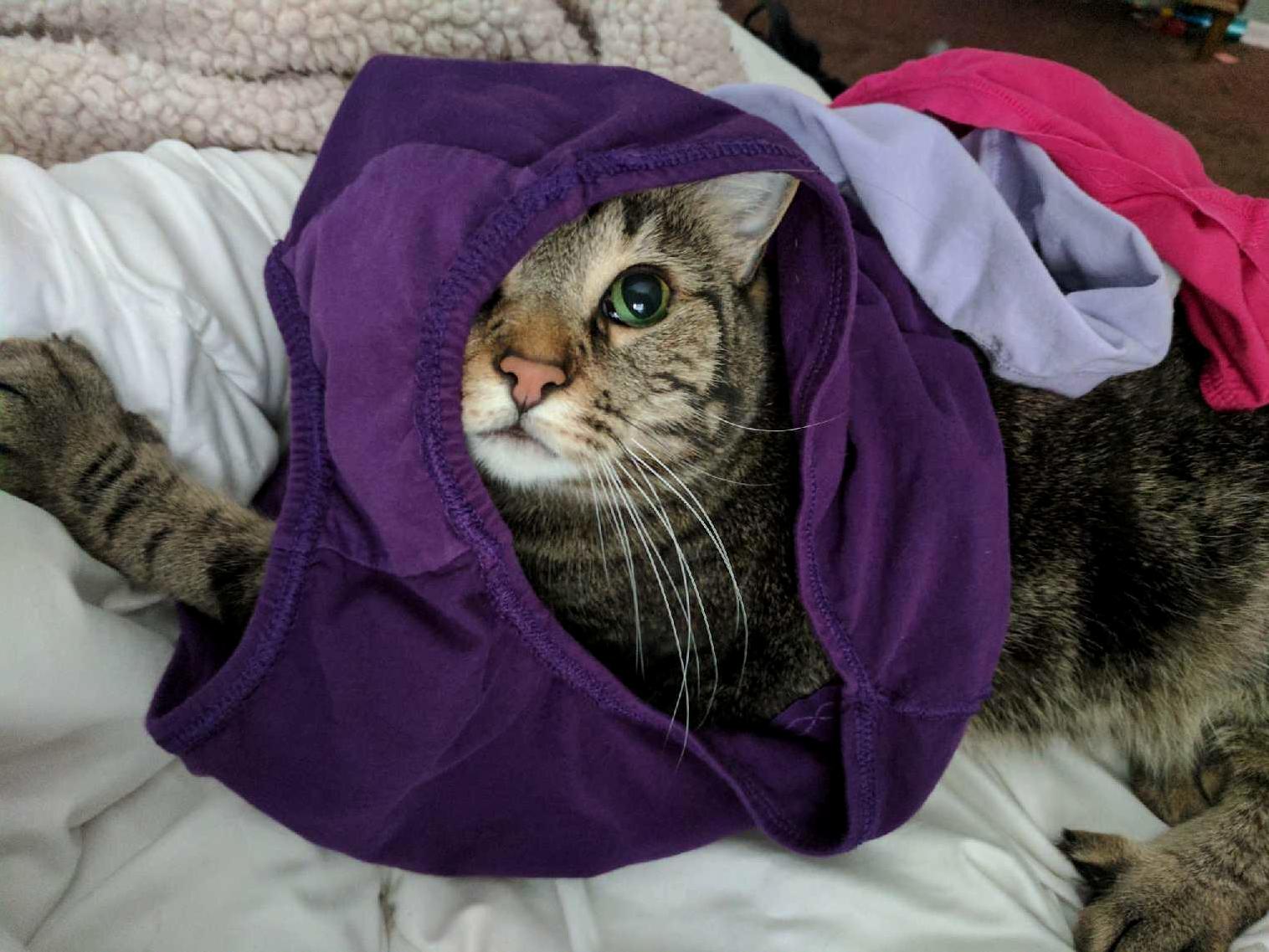 Pussy Peaking Out of Panty