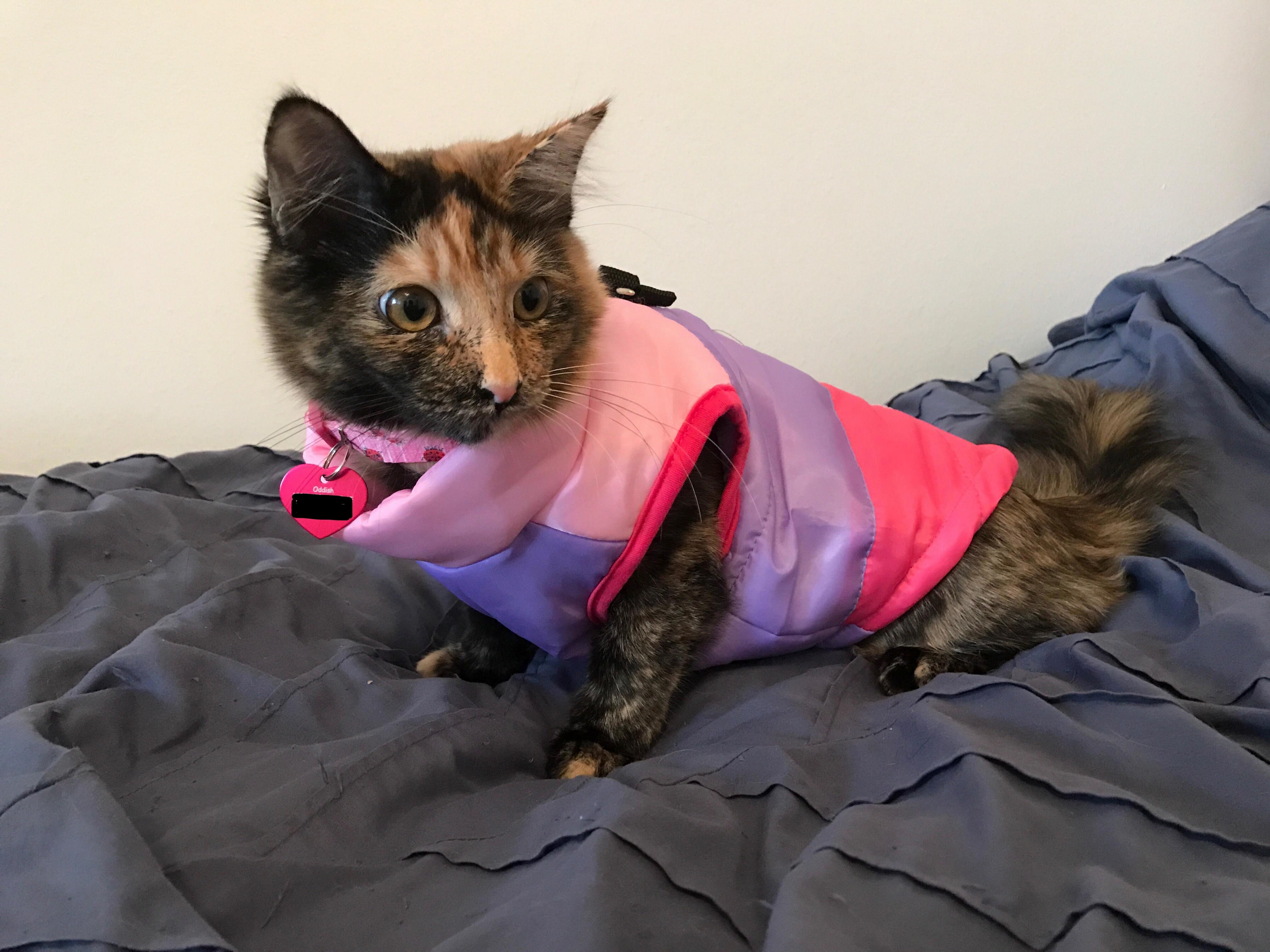 Ready to Go Outside (1)