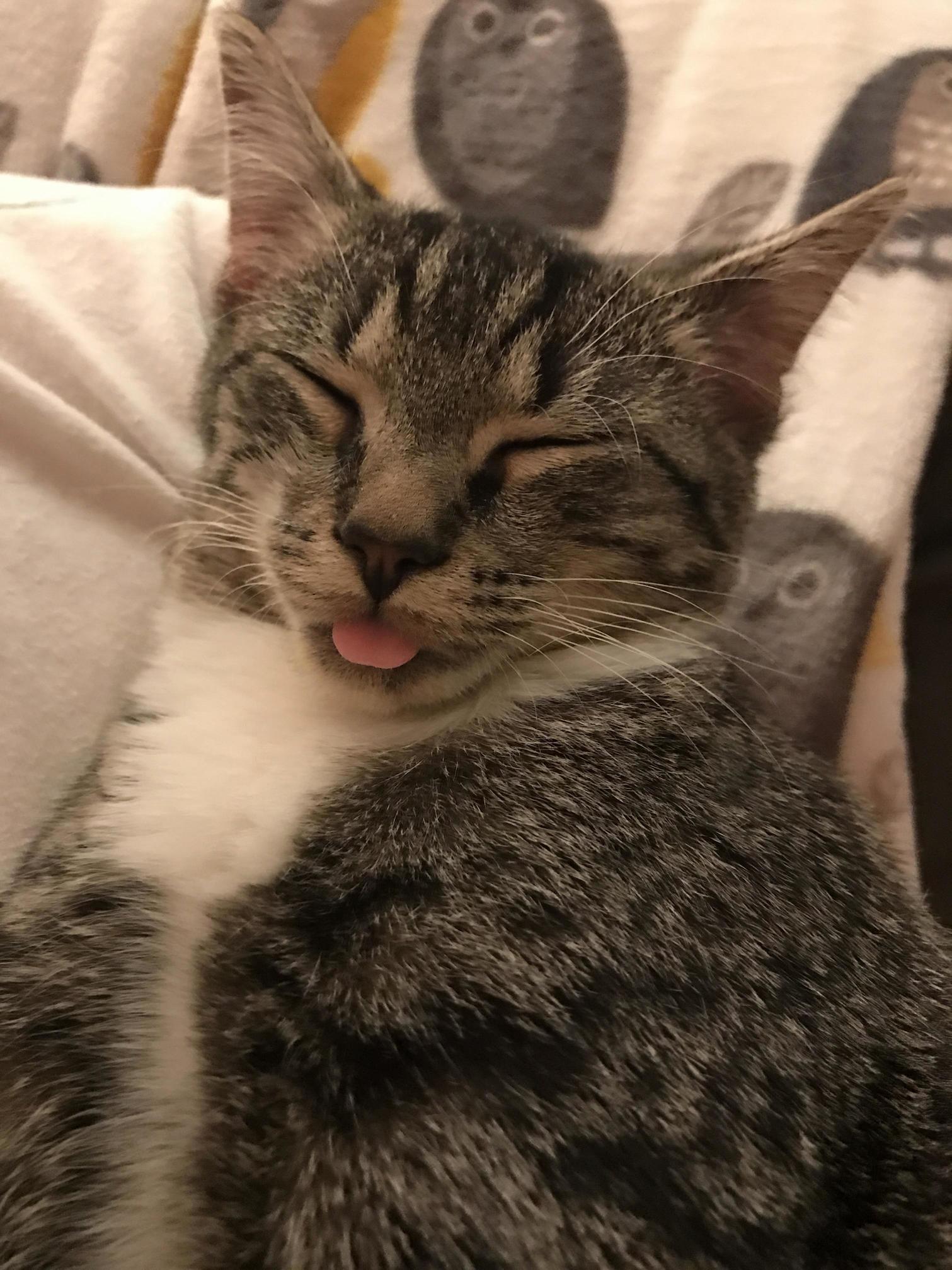 Relaxation Level 10000